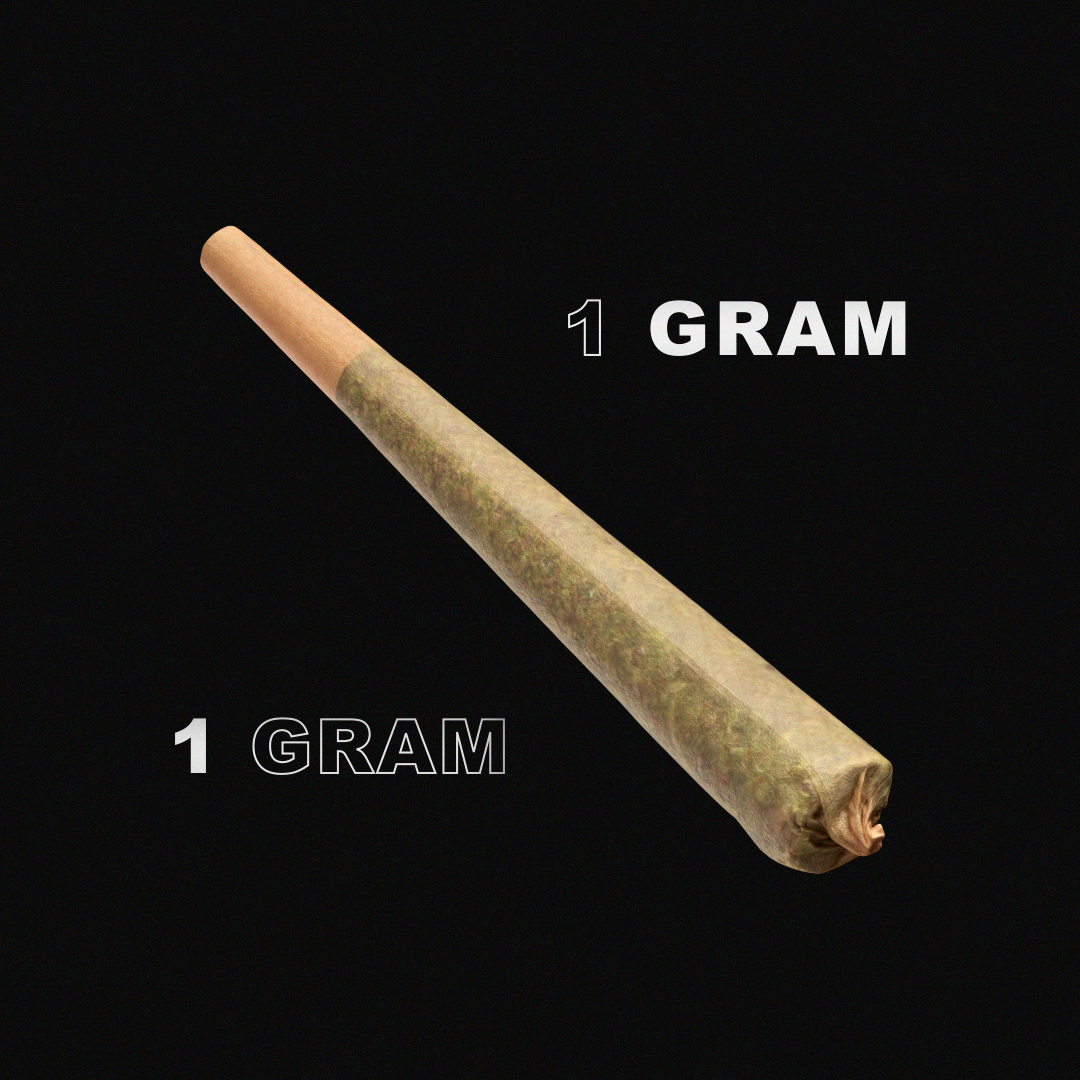 STZ_Preroll_Shot03_v008.png