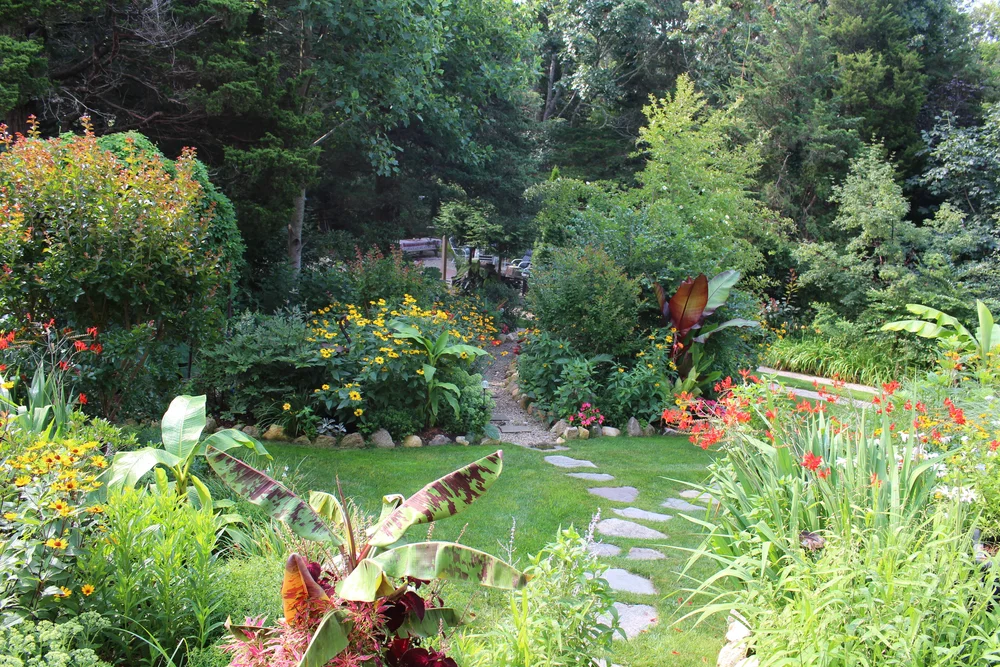 Services — Black Duck Landscape