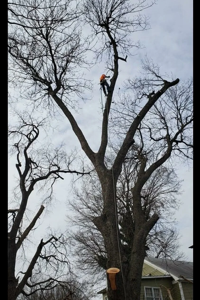 Gallery — Black Duck Landscape