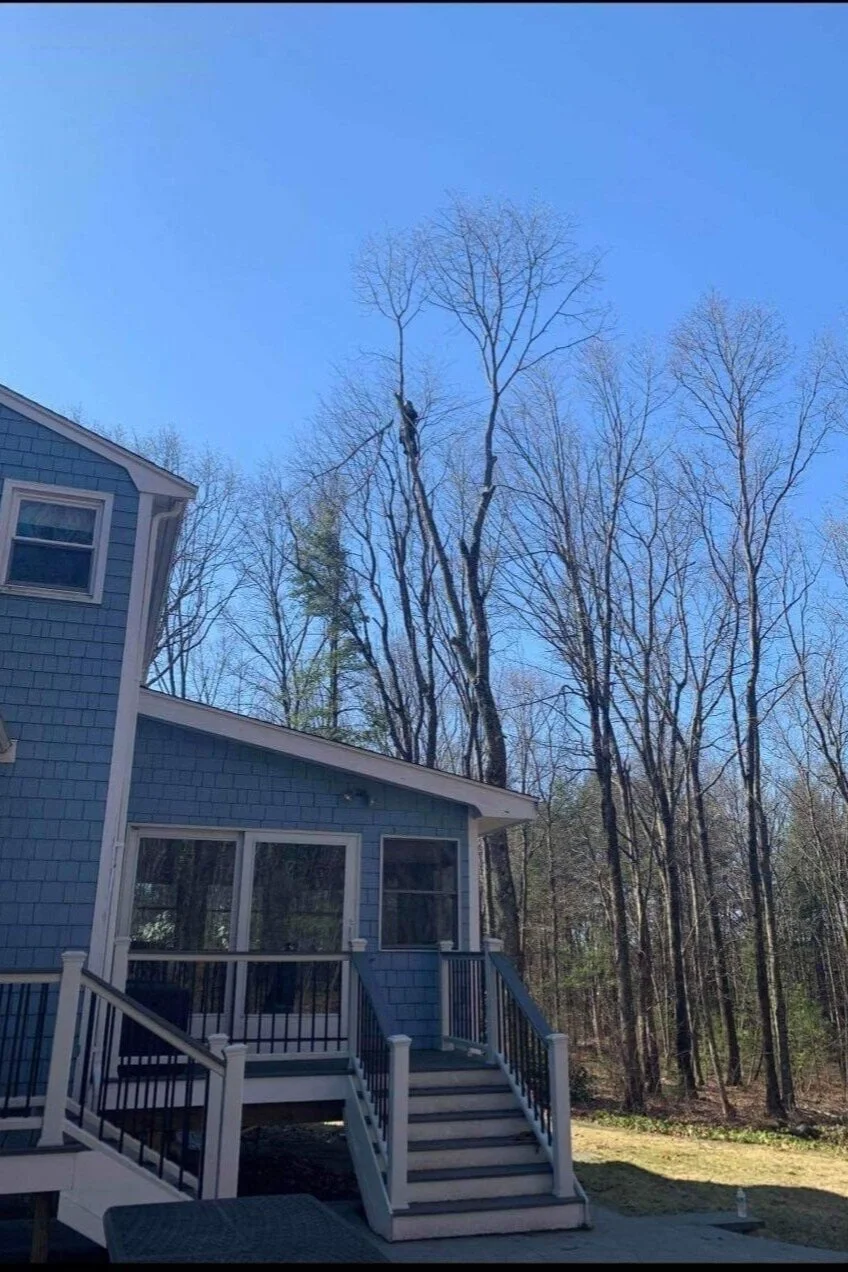 Gallery — Black Duck Landscape