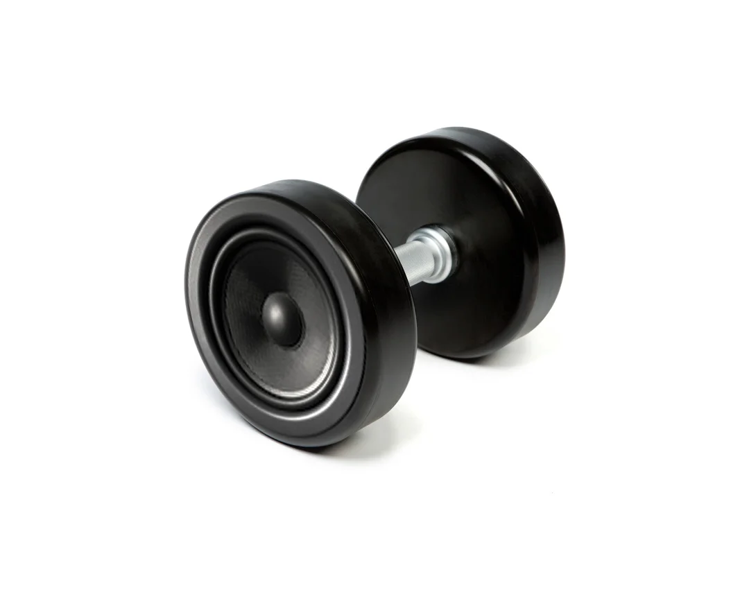 Dumbell Speaker Art 1.jpg