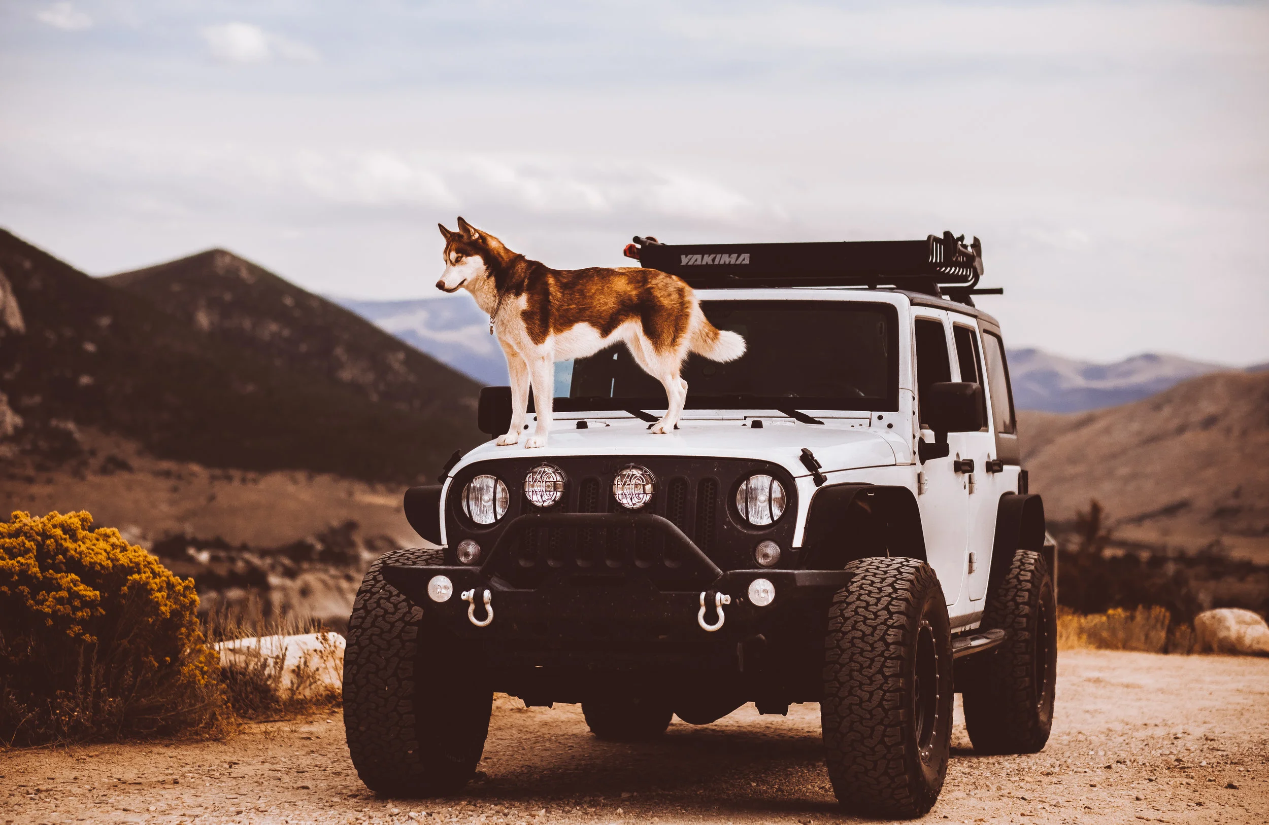 SOUTH IDAHO TOURISM