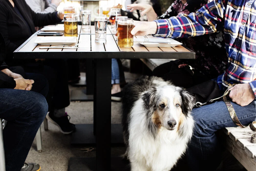 Red_Wagon_0595 (1).jpg