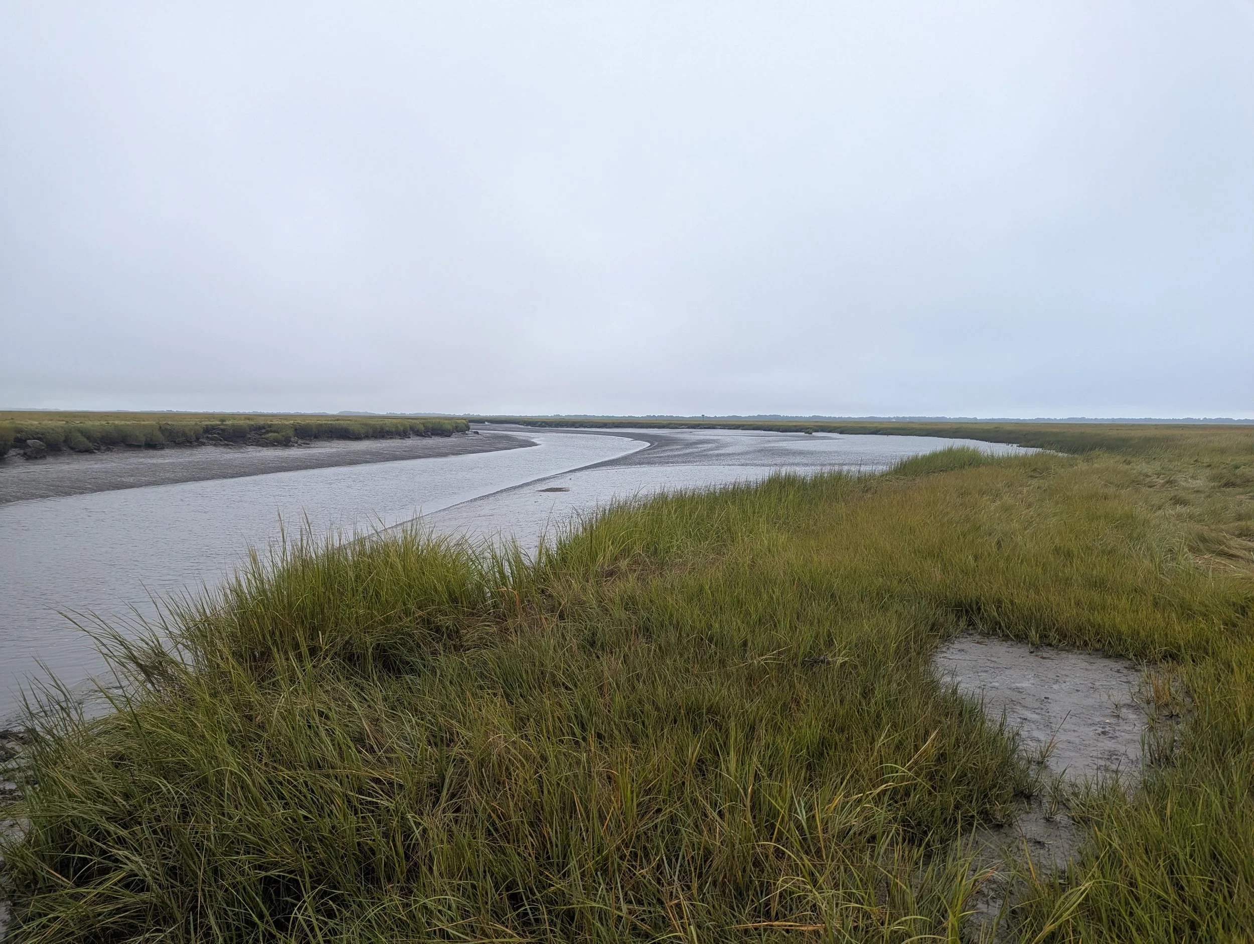 Working with Learning Hub Resources