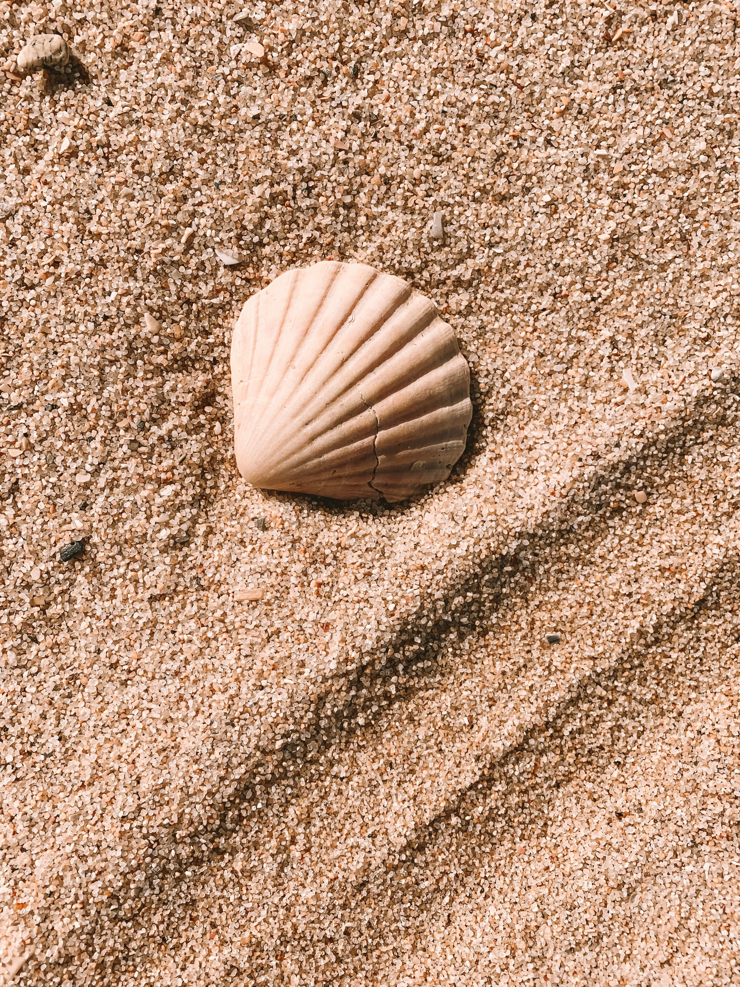 Fixation: How to Have Stuff Without Breaking the Planet