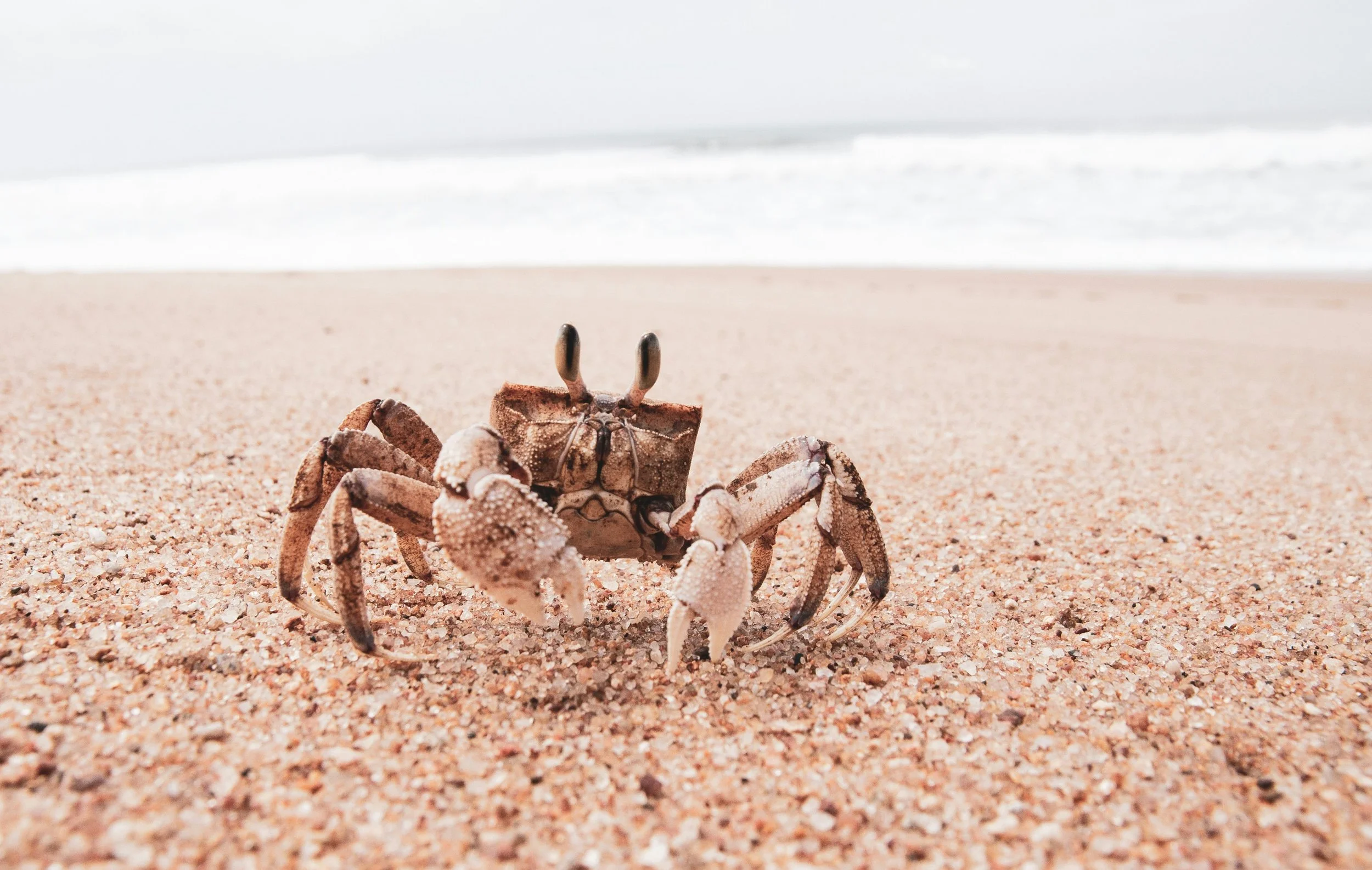 Embracing Stress as Opportunity