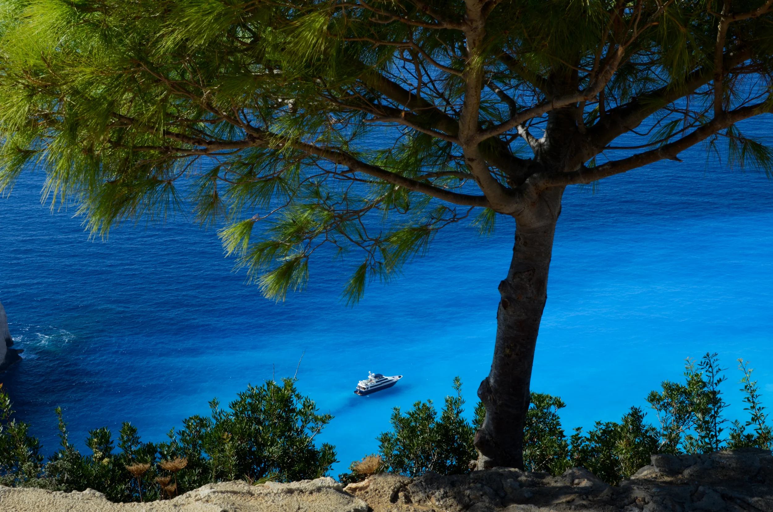 pexels-blue-boat-coast-620.jpg