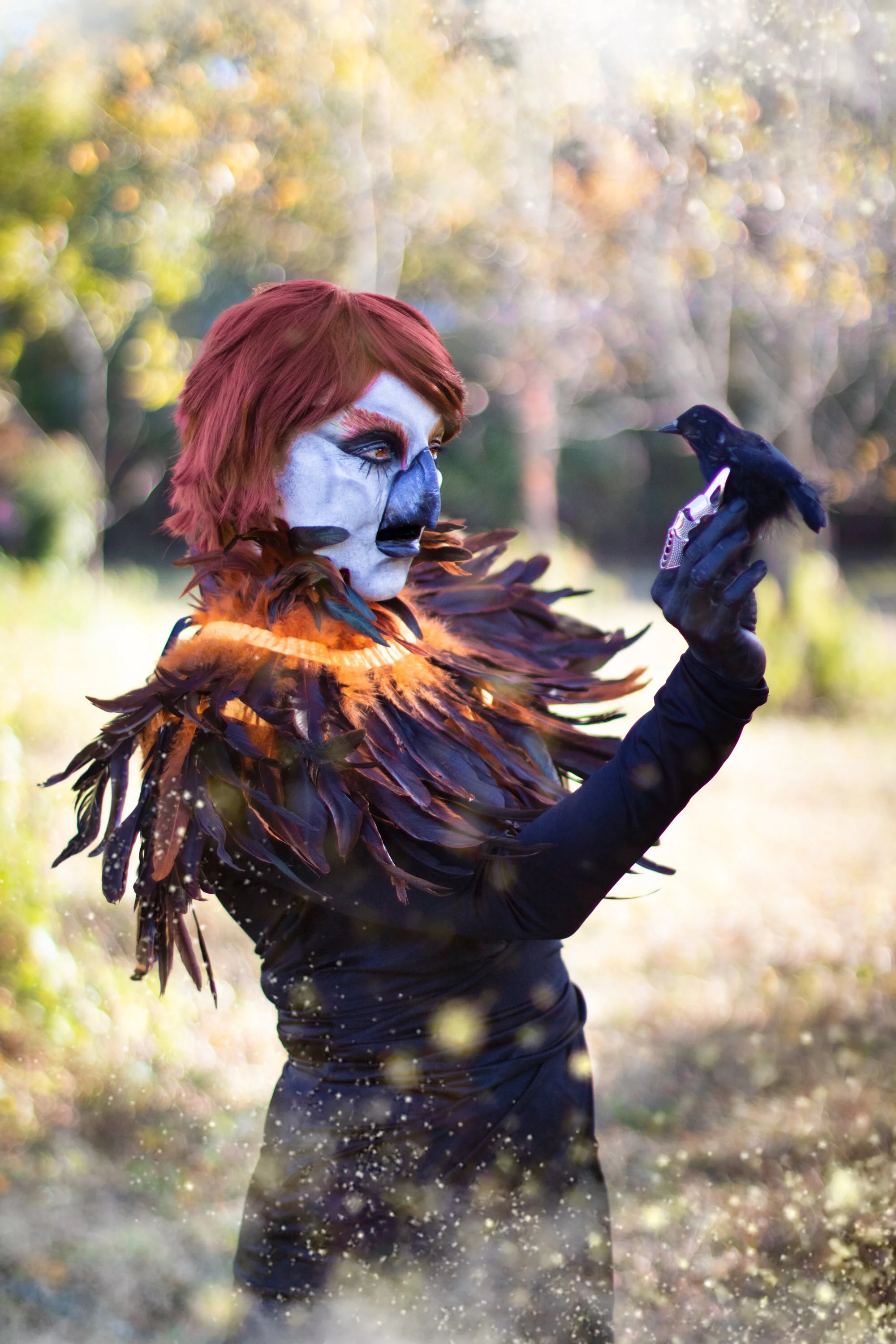 IMG_6202-Edit.jpg