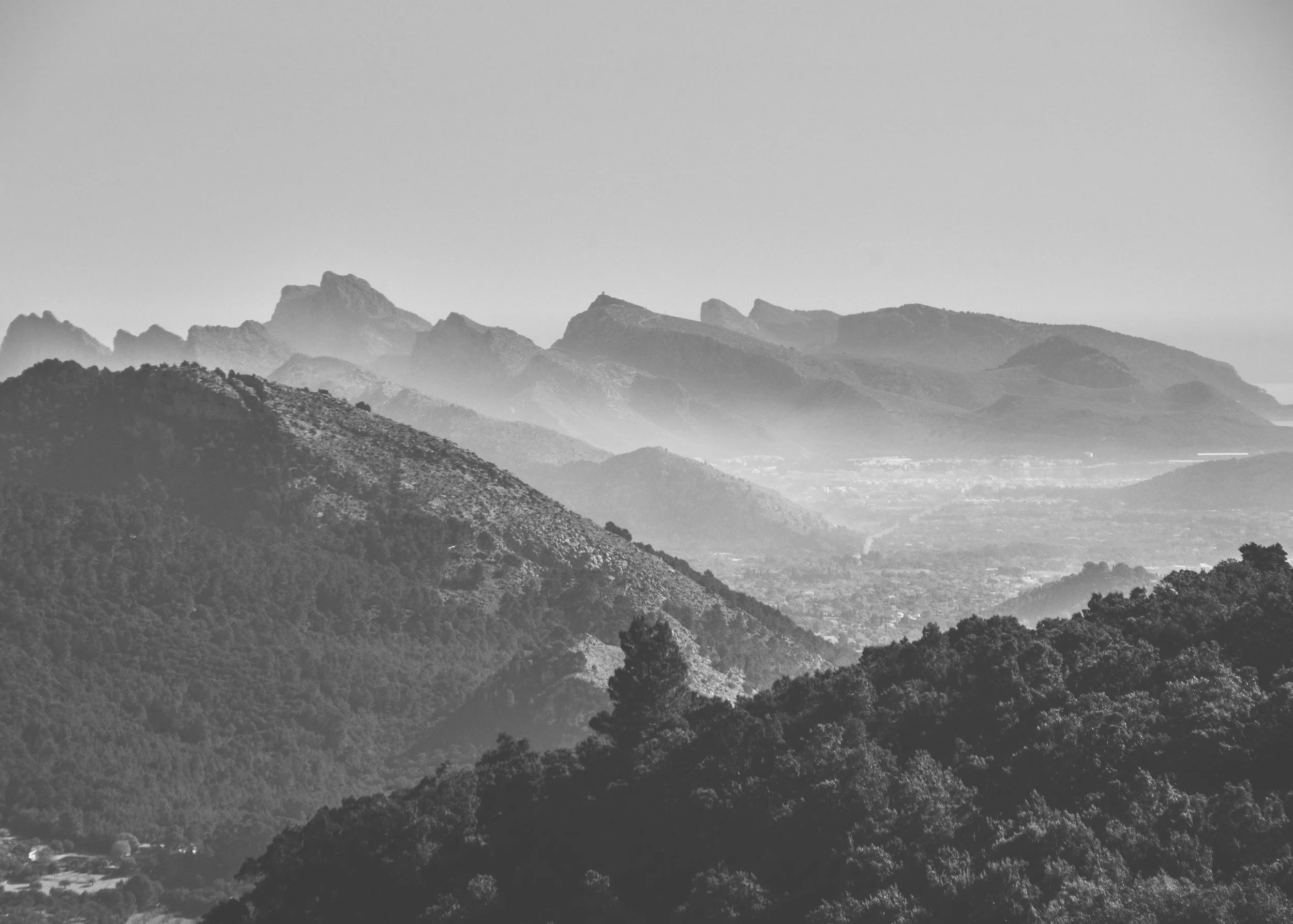 DSC_0092-2.jpg