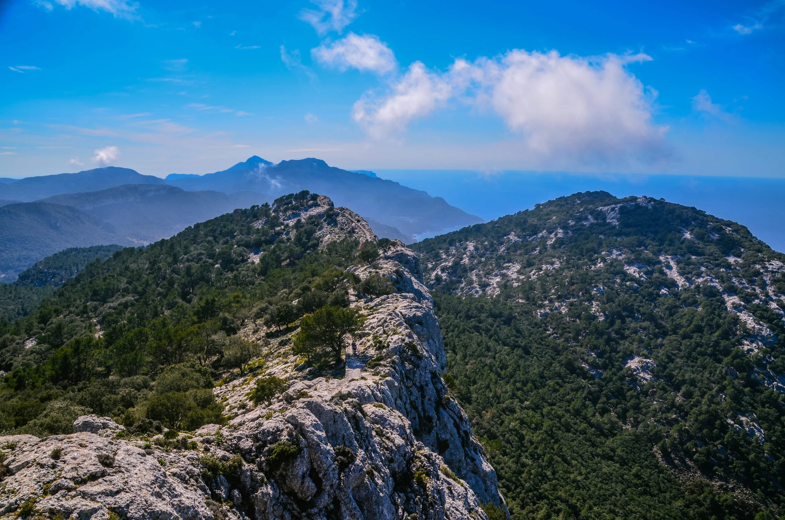 DSC_0015.jpg