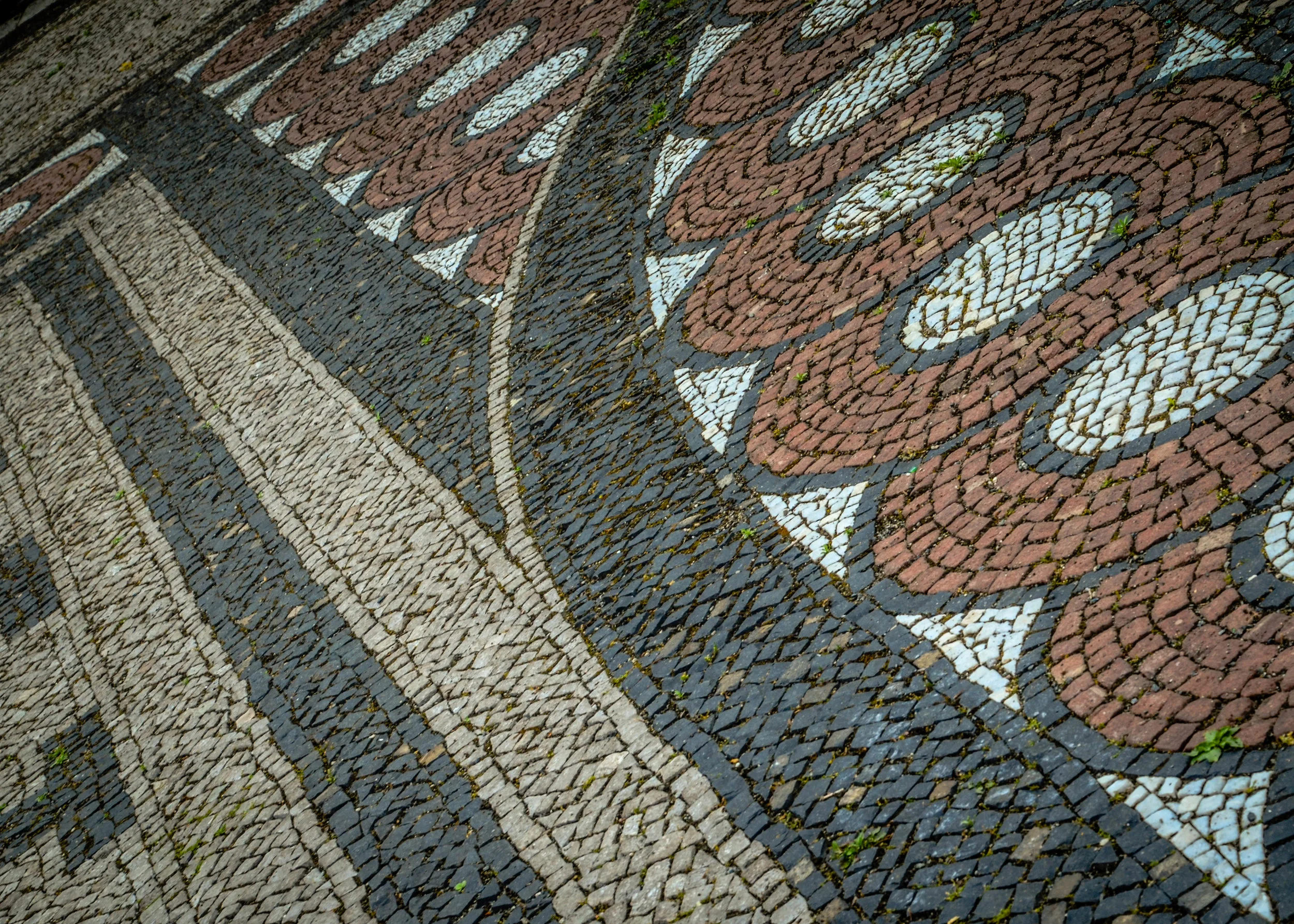 DSC_0541.jpg