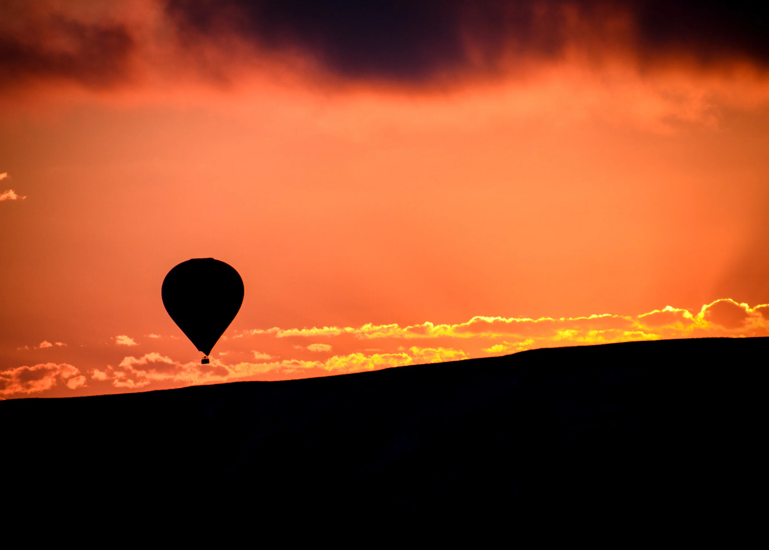 DSC_0794.jpg