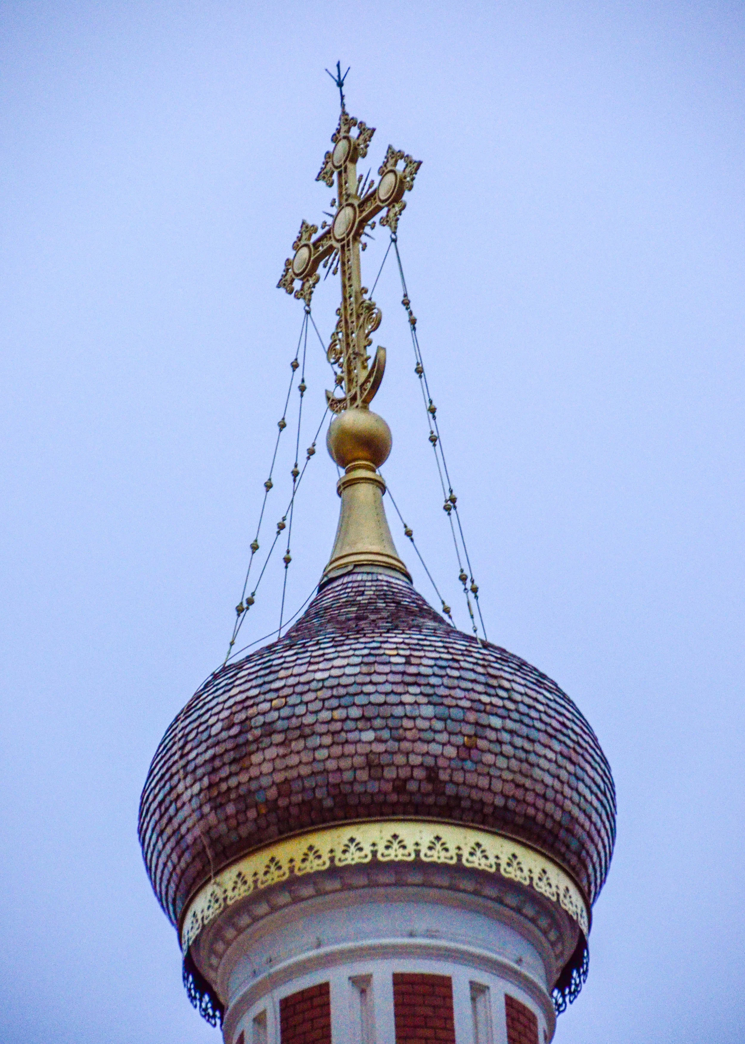 DSC_0637.jpg