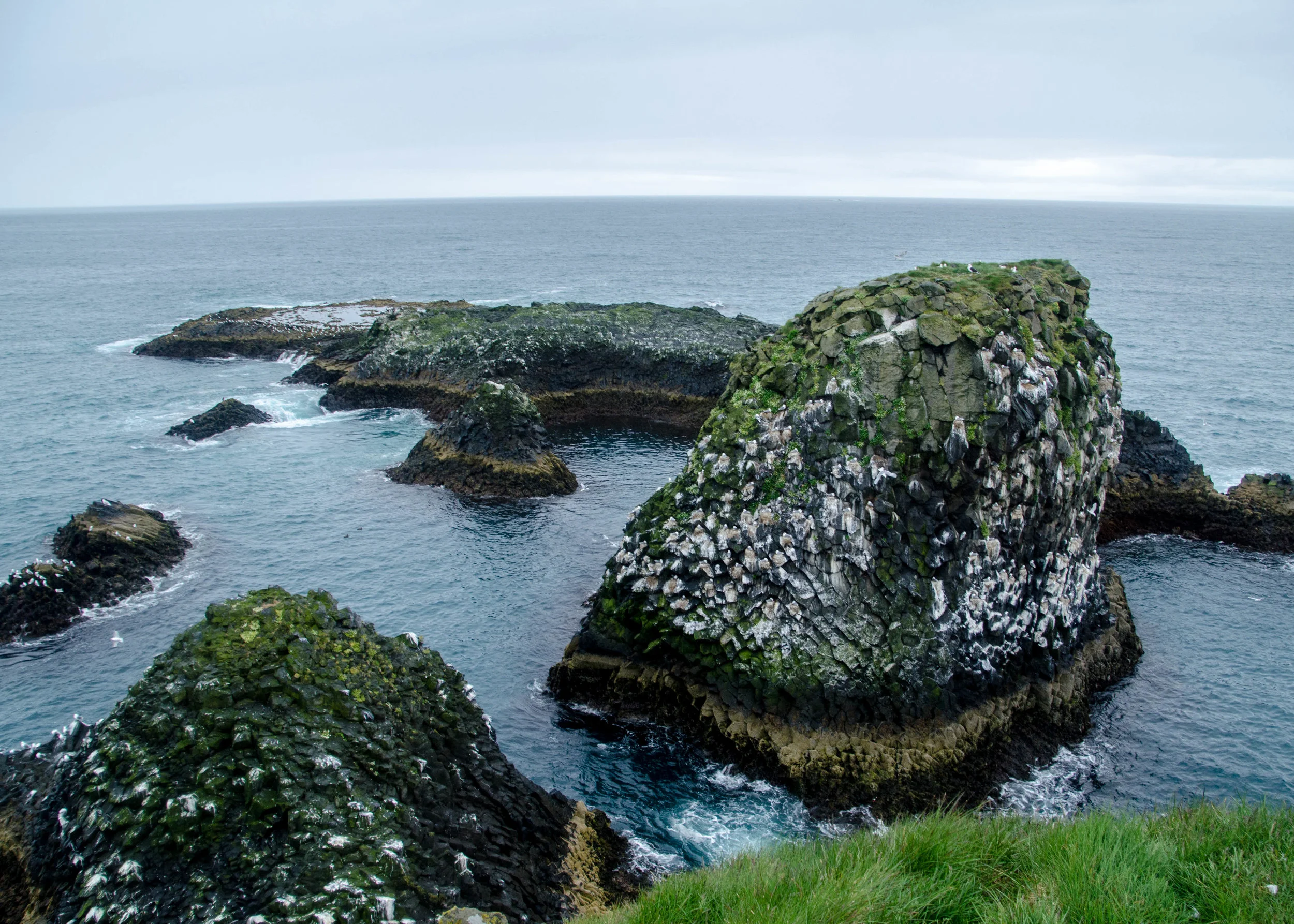 DSC_0005.jpg