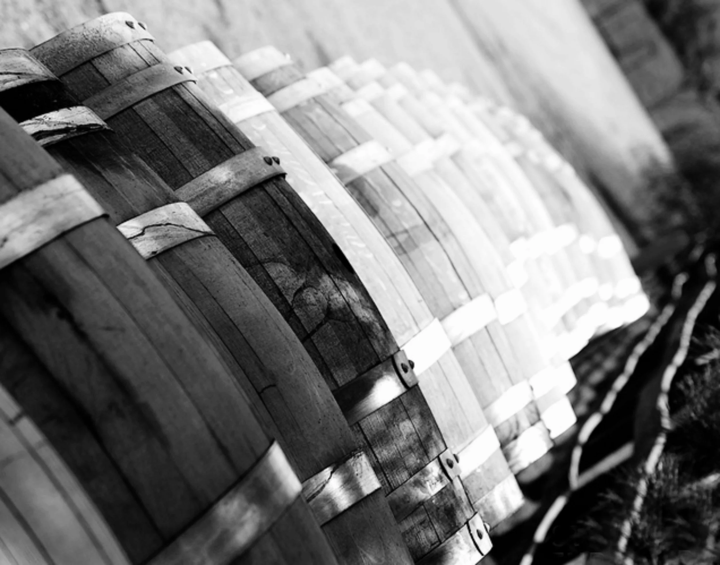 wine barrels.jpg
