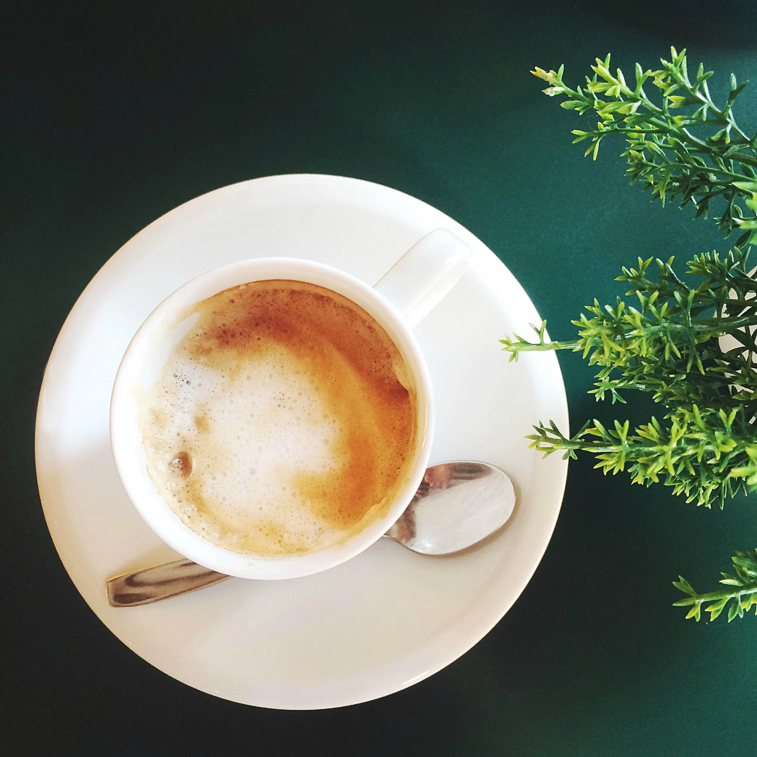 verde cafe .jpg