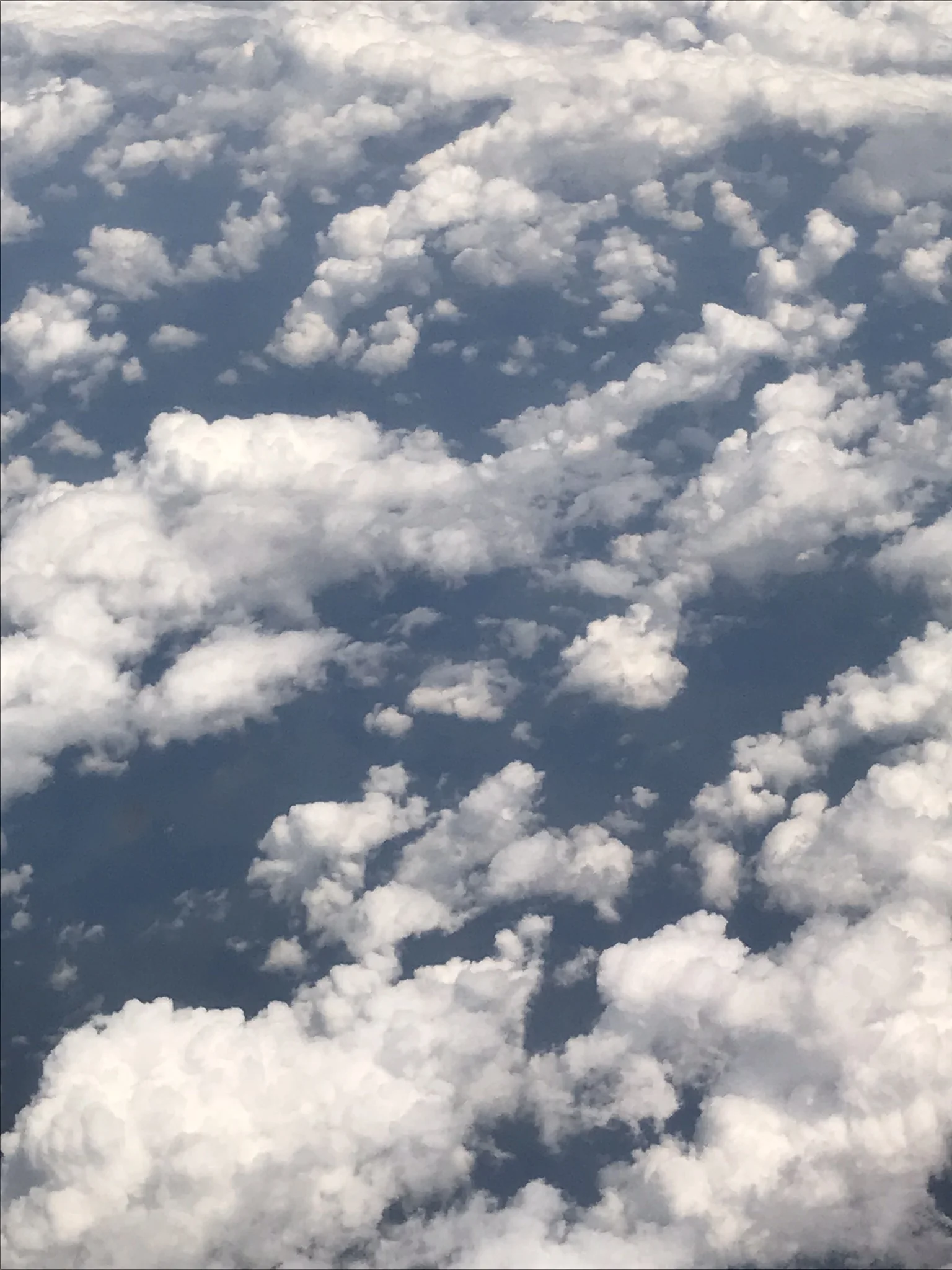 IMG_6466.jpeg