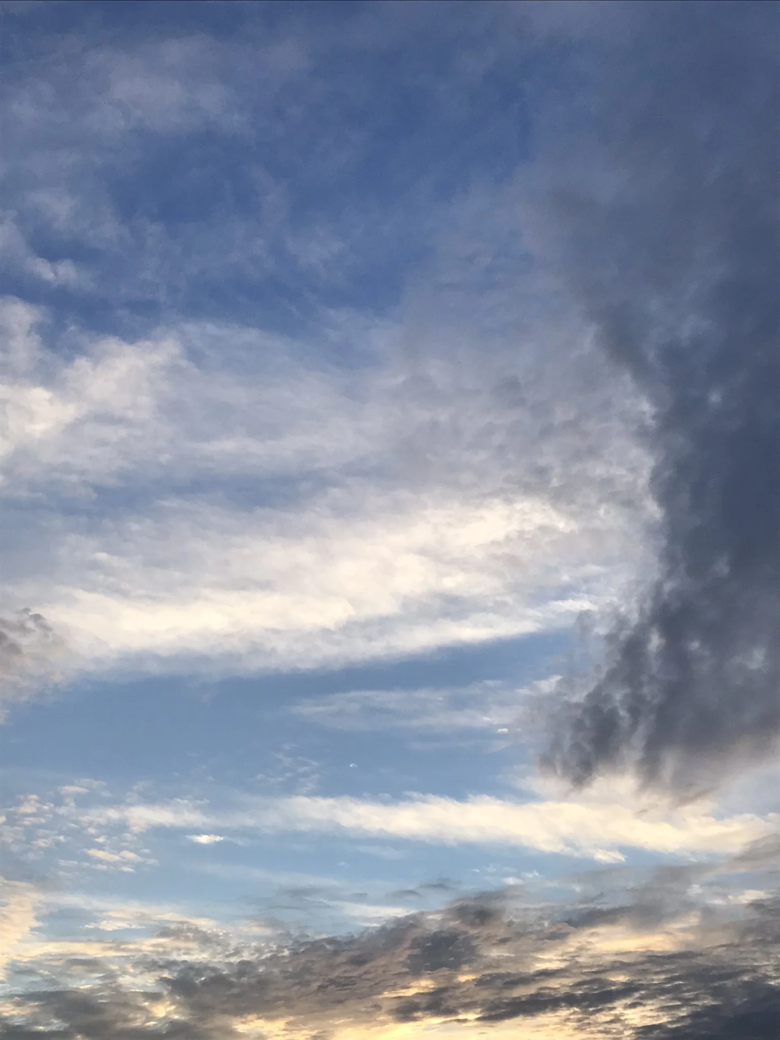 IMG_8059.jpeg