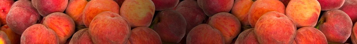 Banner_Peach.jpg