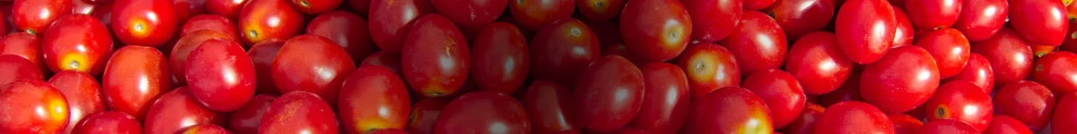 Banner_Cherry_Tomatoes.jpg