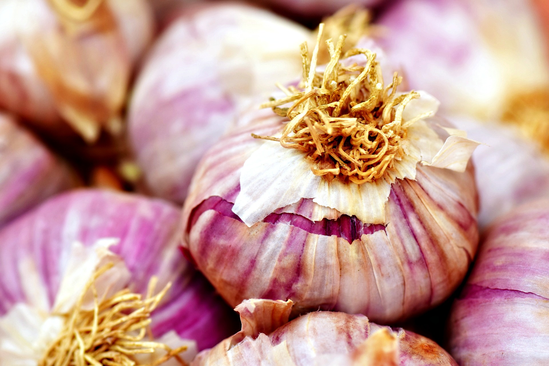 garlic-2390990_1920.jpg