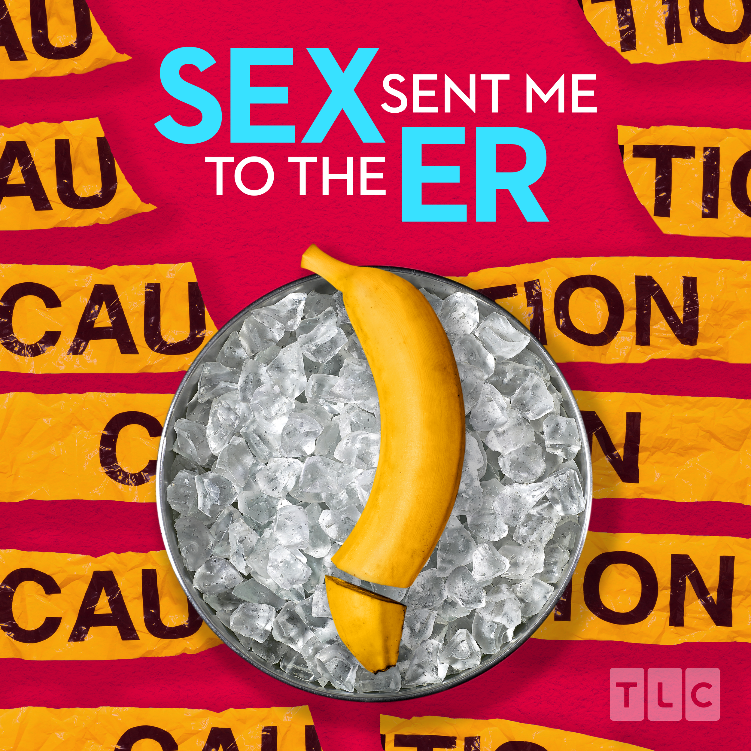 TLC-SSMER-Podcast-Cover Art-PHOTOGRAPHY-Option 2-MH-v3.png