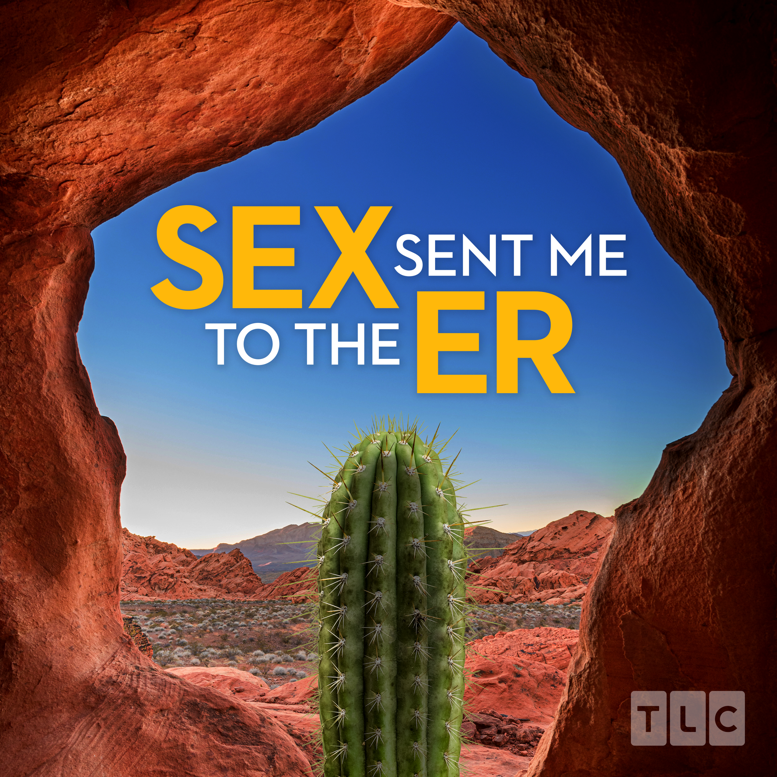 TLC-SSMER-Podcast-Cover Art-PHOTOGRAPHY-Option 1-MH-v3.png