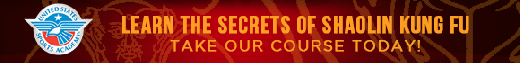 shaolin_course.gif