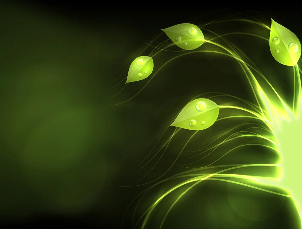 top-banner-home.jpg