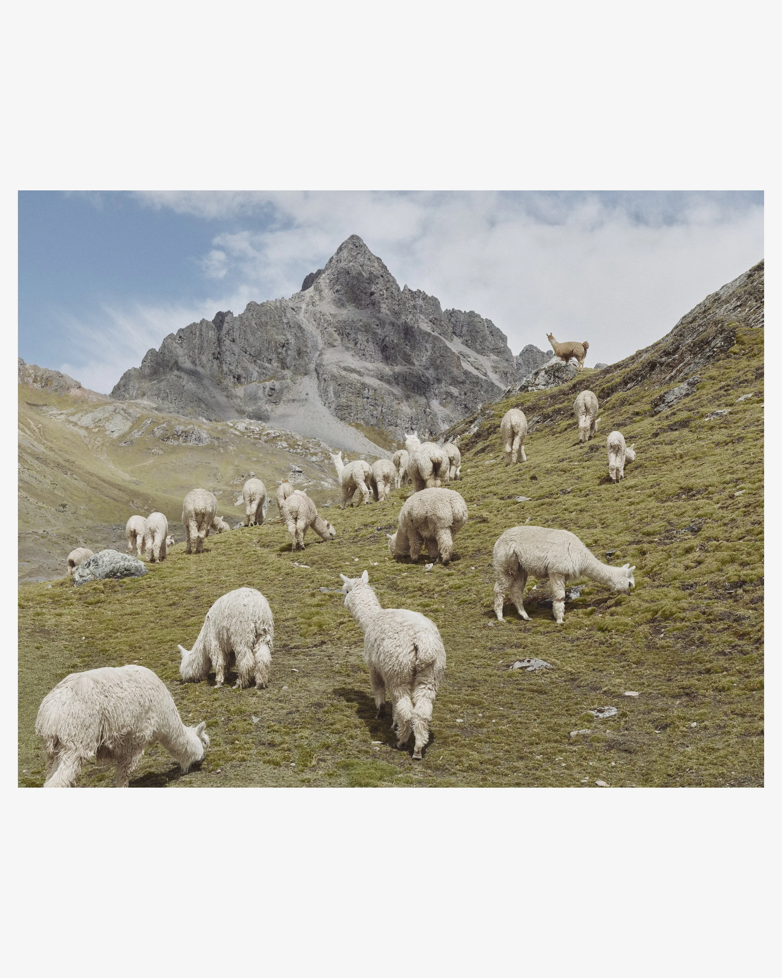 Peru_2236.jpg
