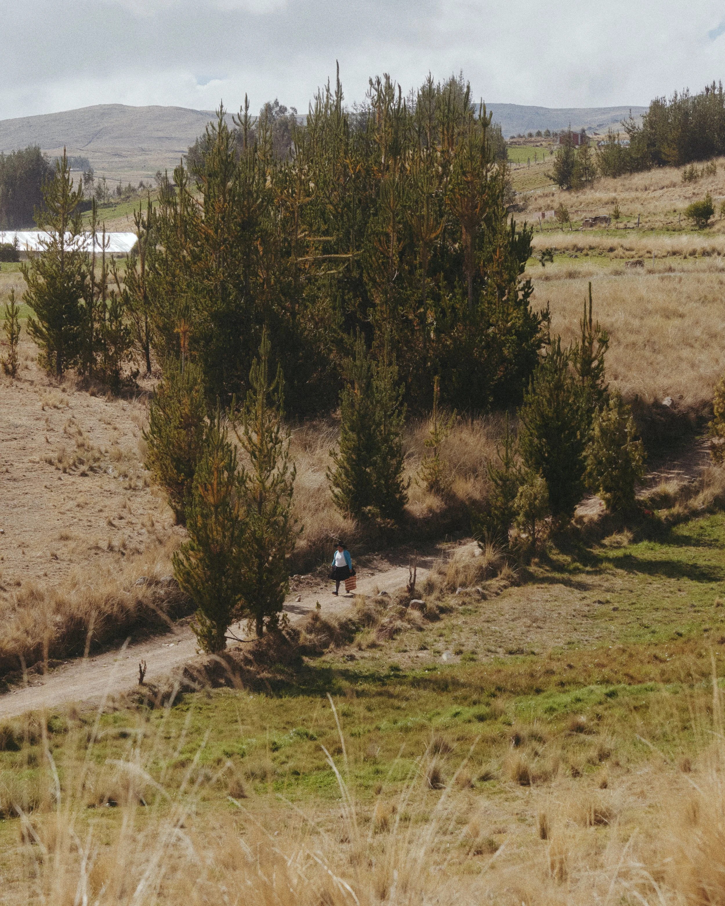 Peru_1401.jpg
