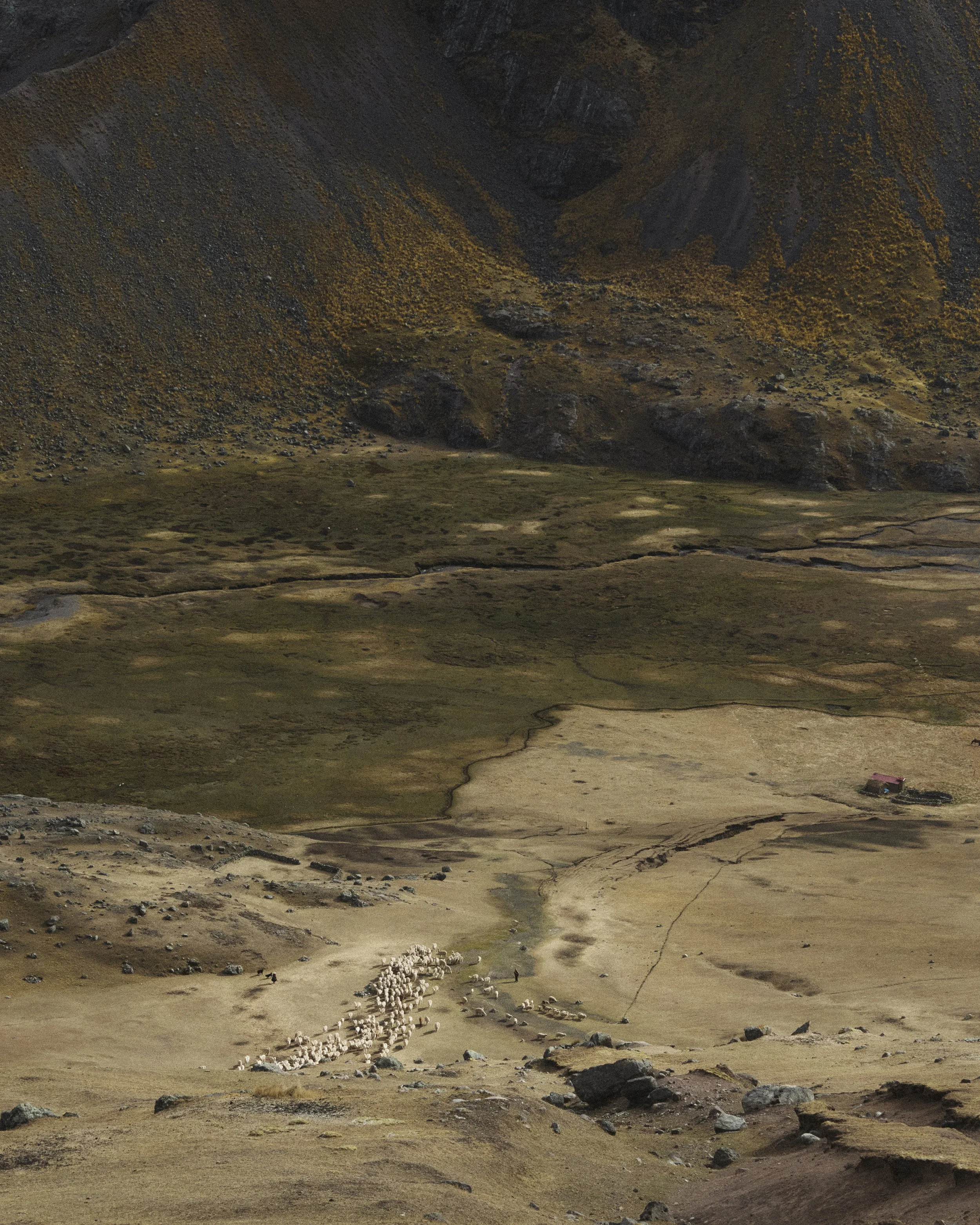 Peru_2029.jpg