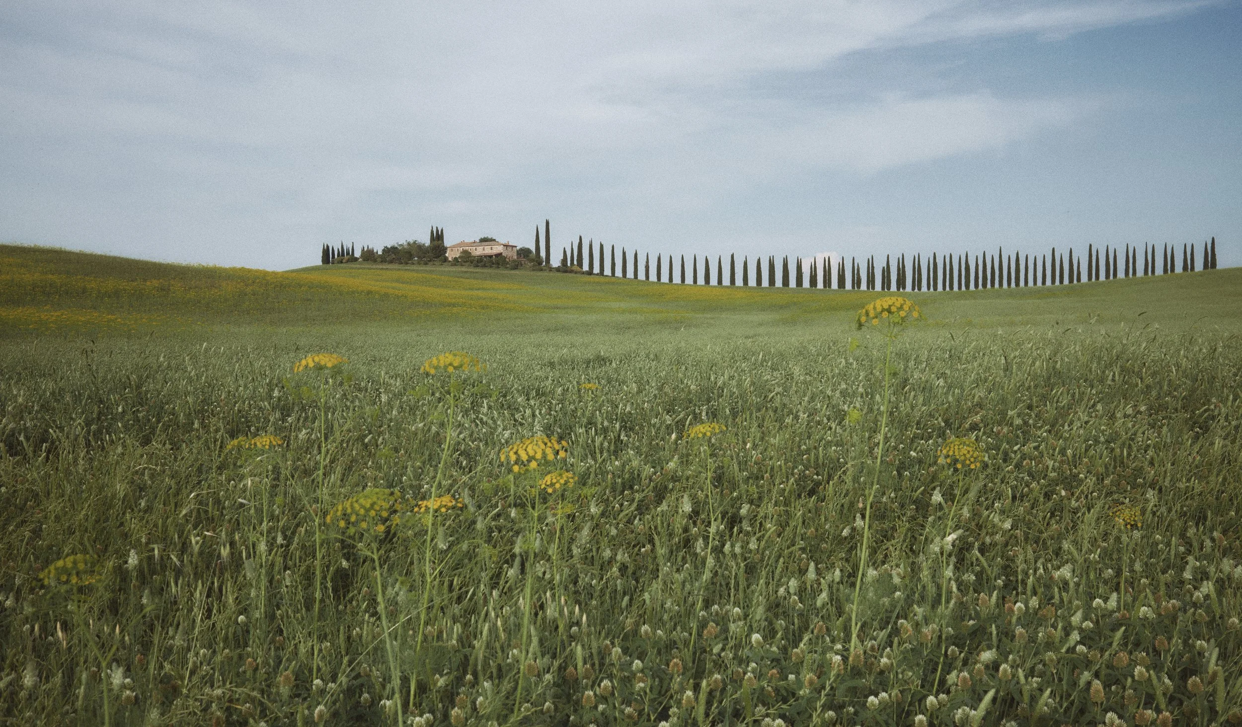 Tuscany_776_.jpg