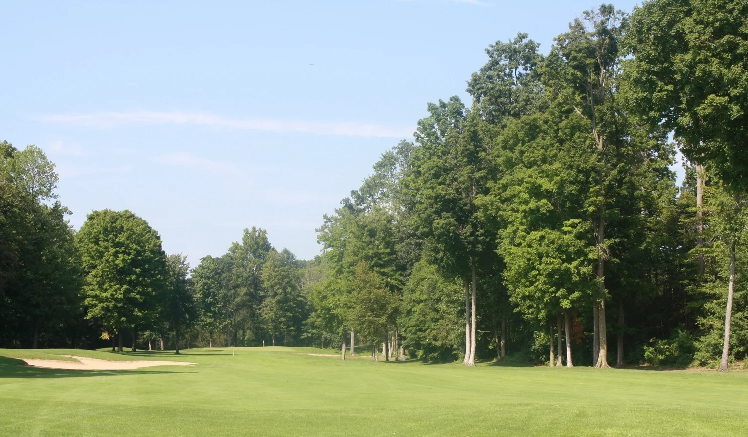 LYNX GC 15th Hole Golf