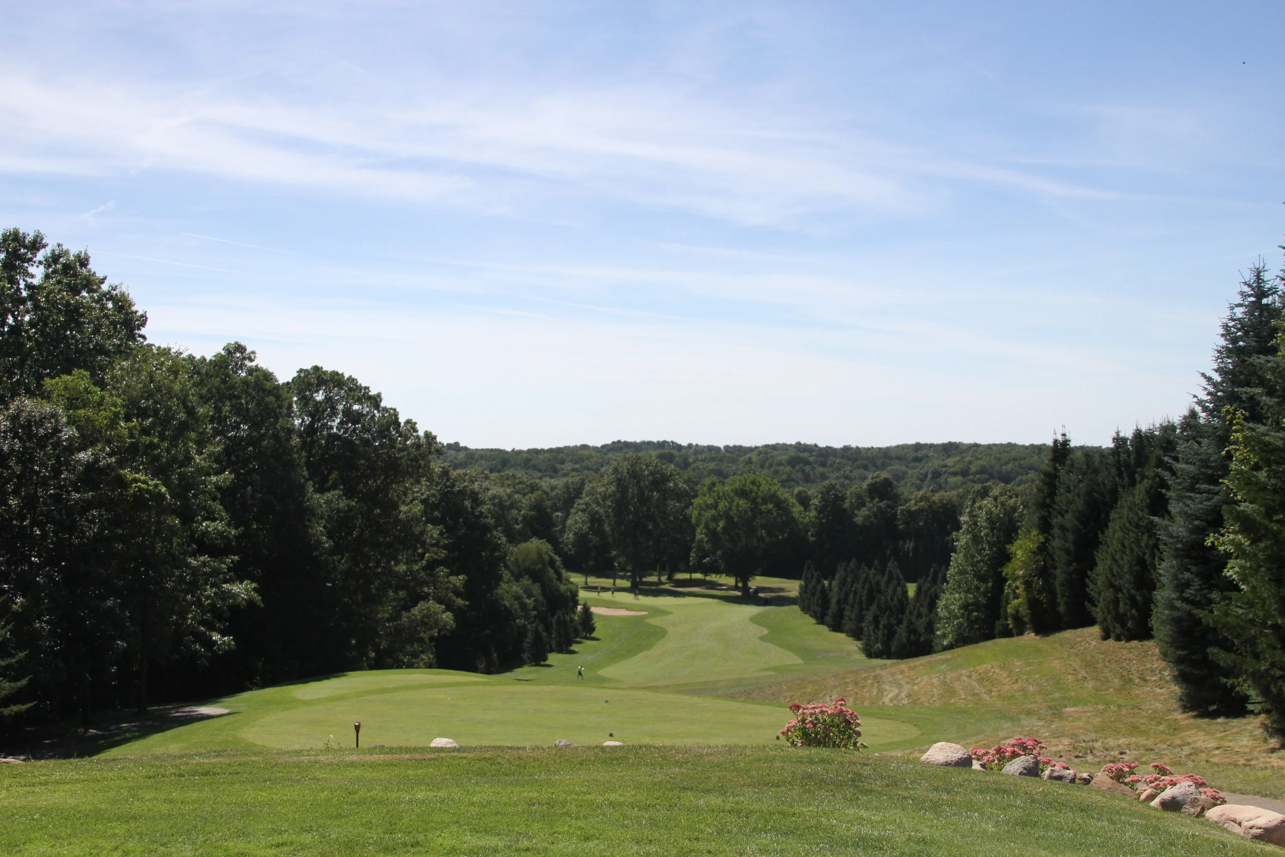 10th Hole LYNX GC