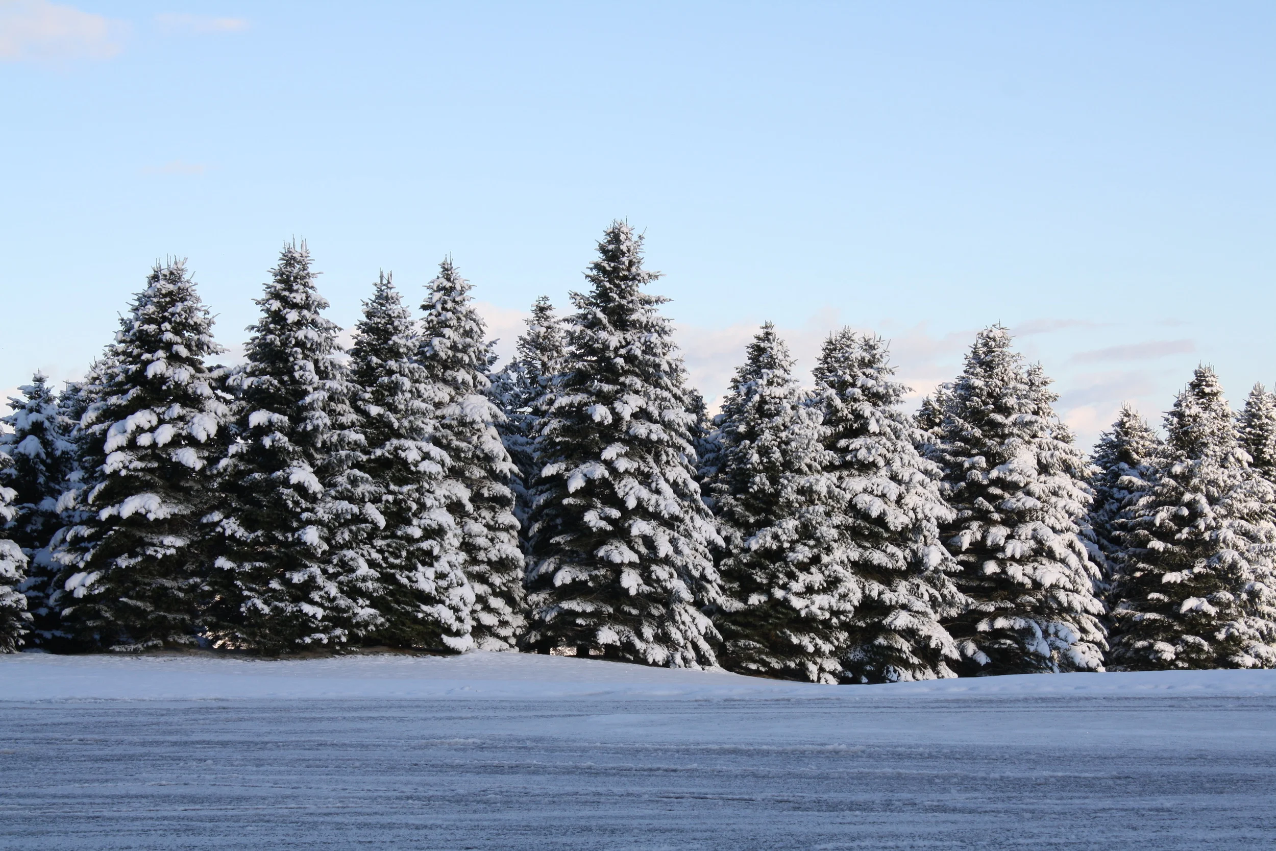 New Grill Hours For JAN & FEB