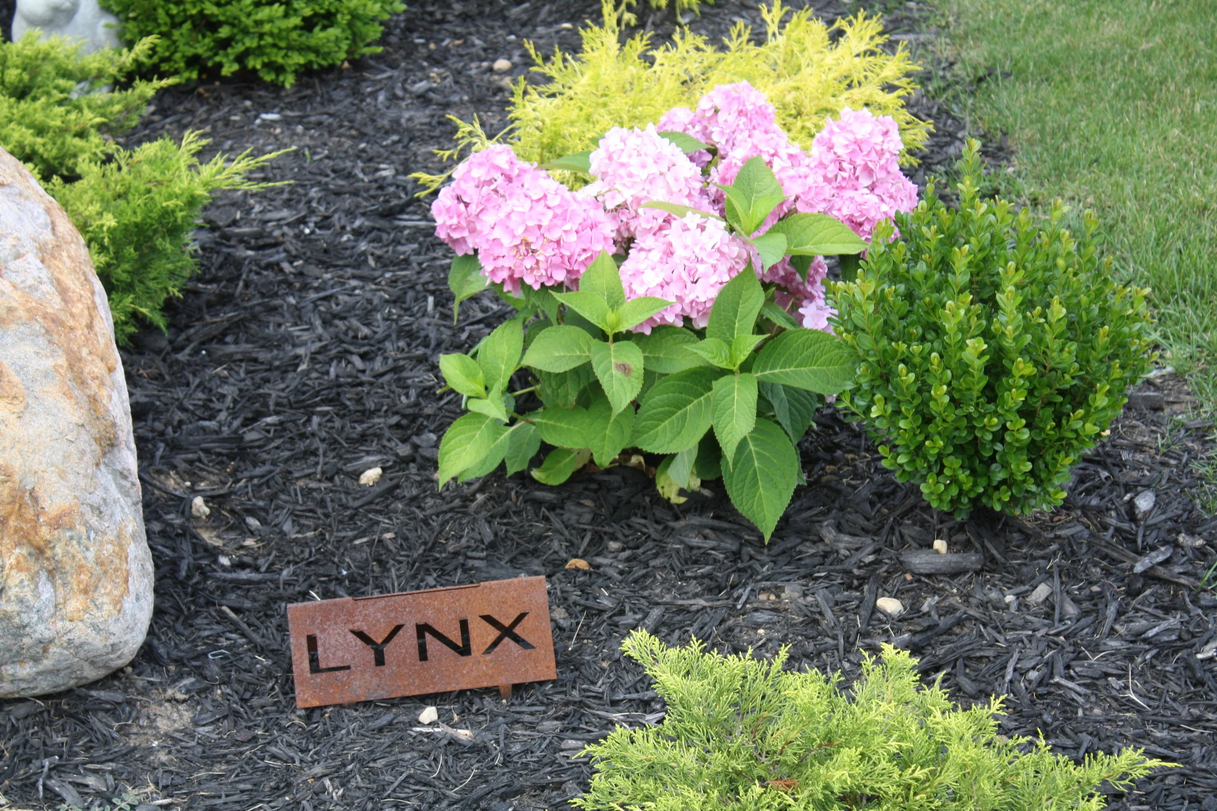 2019 Womens Member-Guest