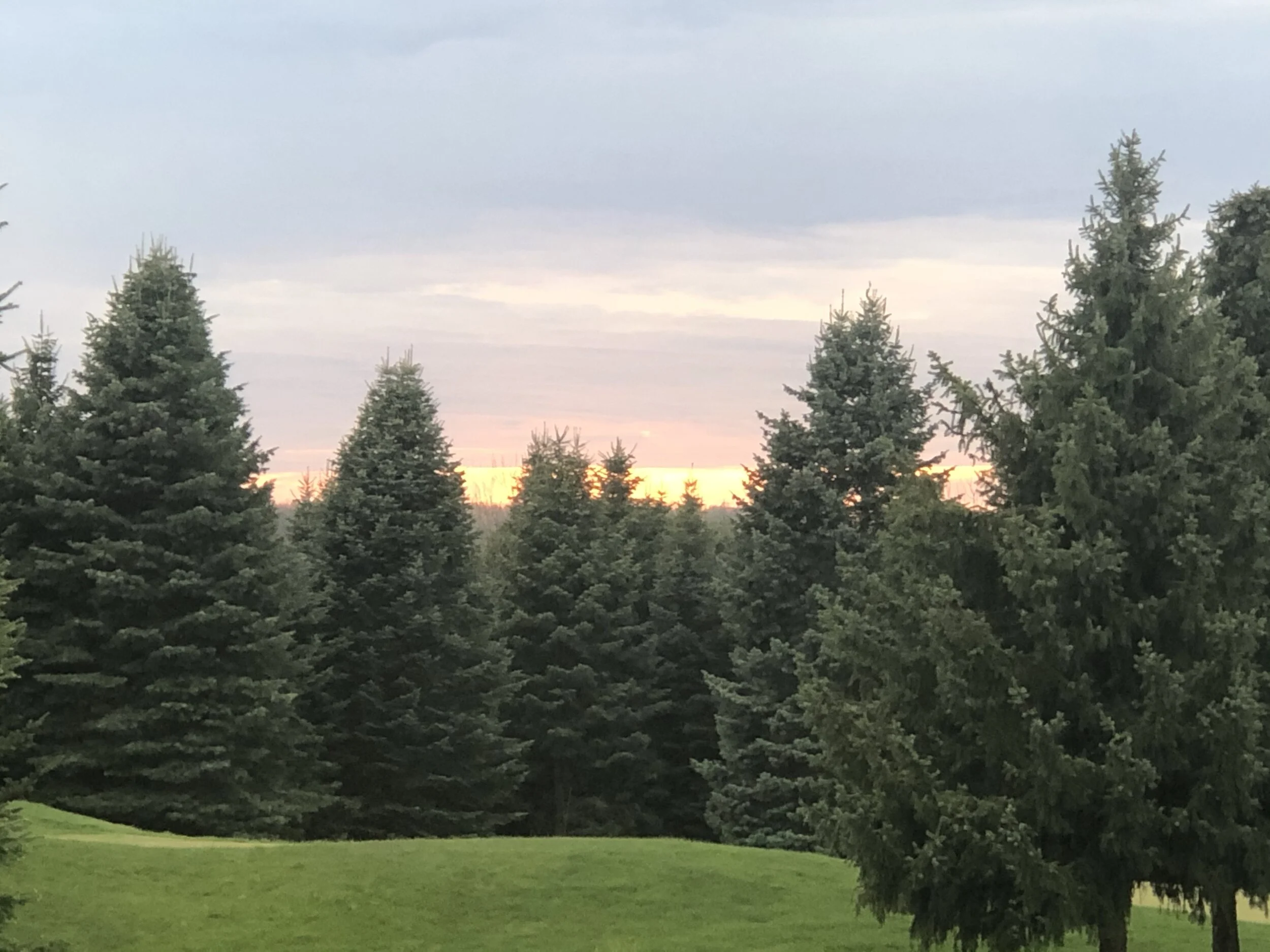 Friday Night Carryout Dinner