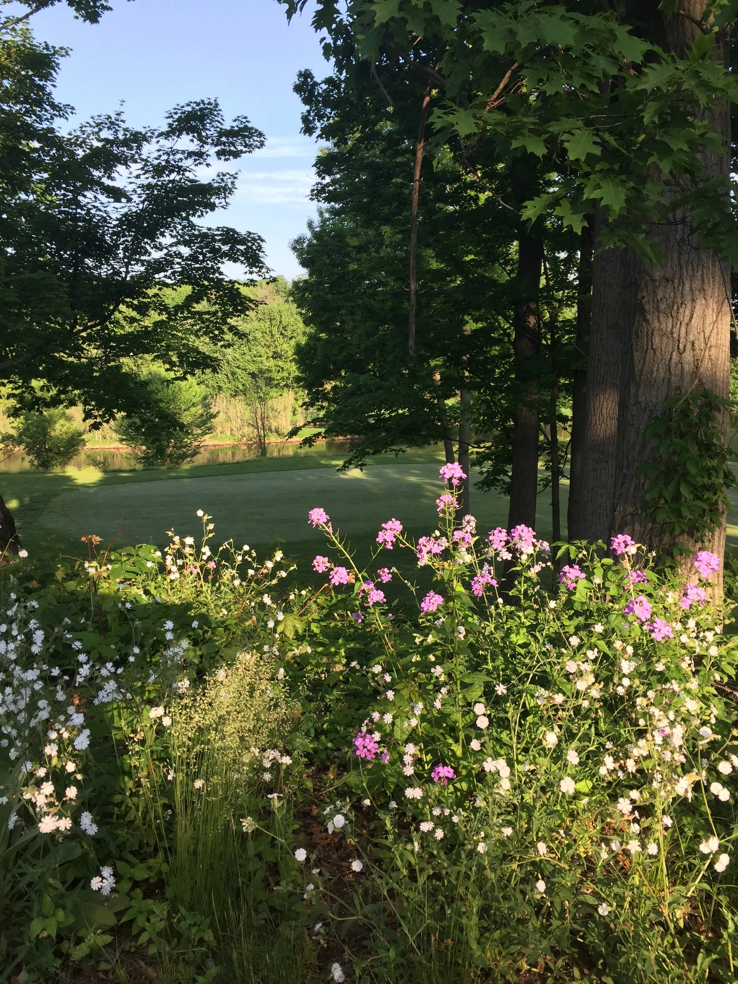 LYNX Club Championship