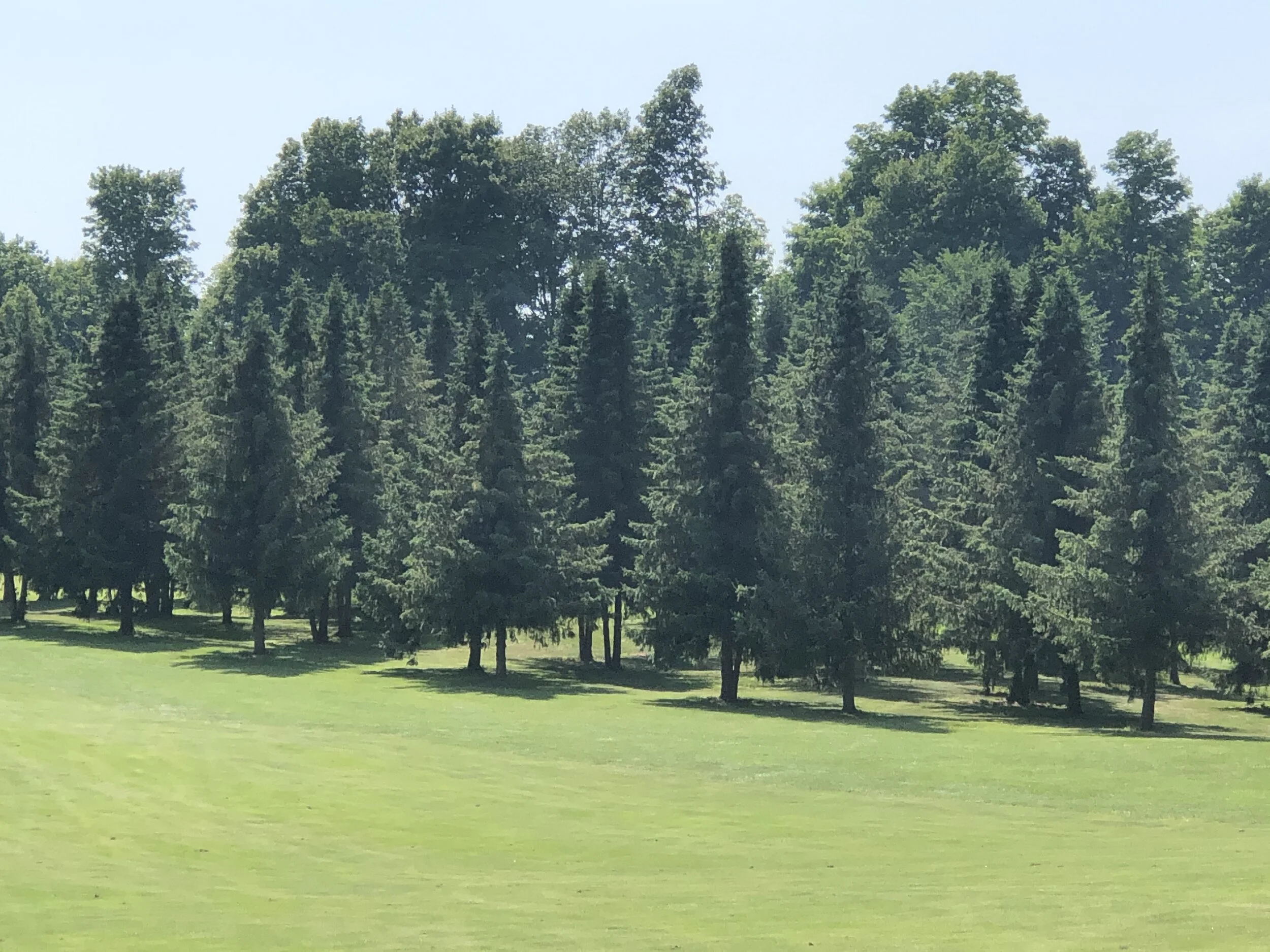 Kalamazoo Junior Golf Association