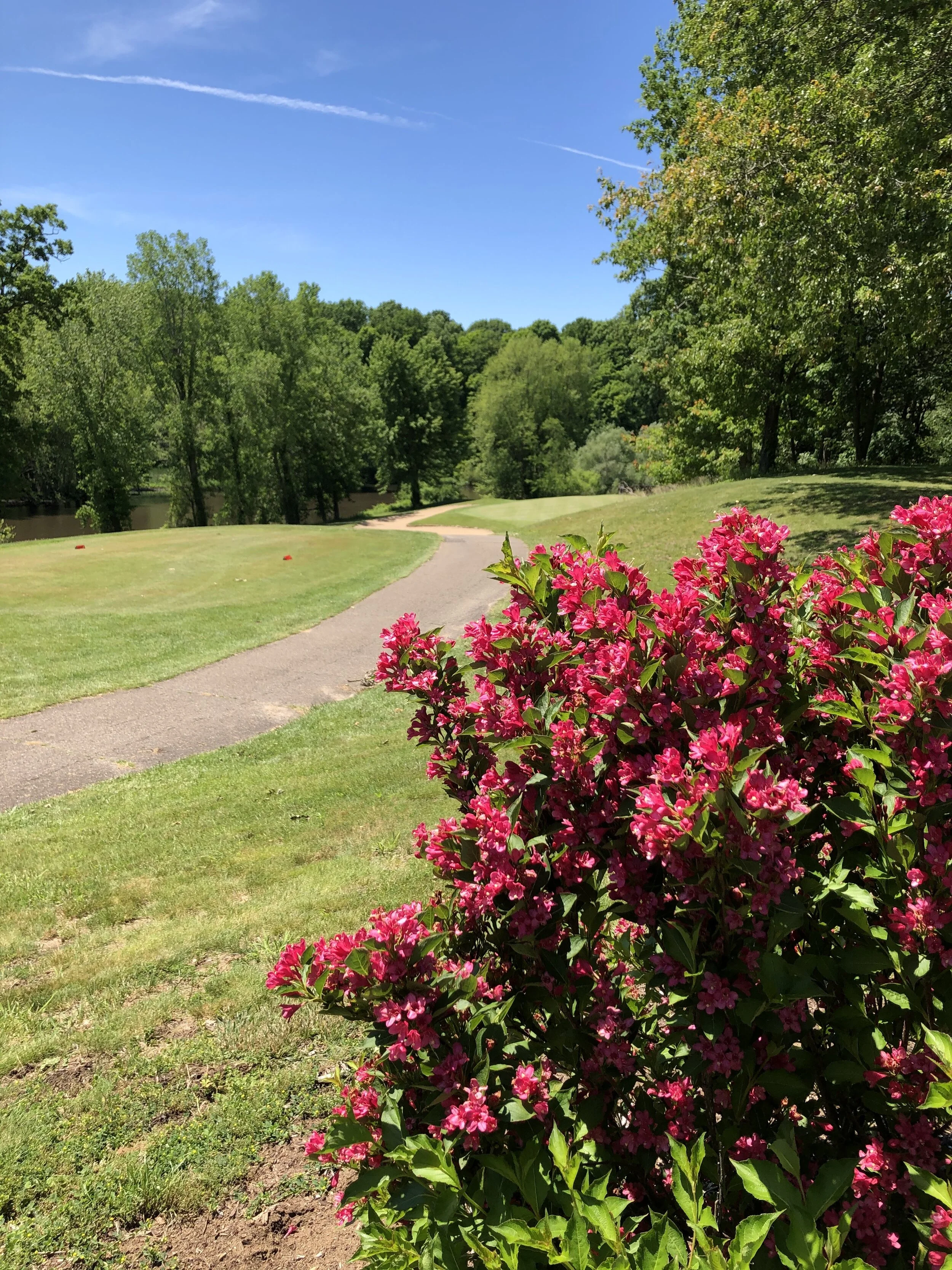 Member-Member (Ladies)