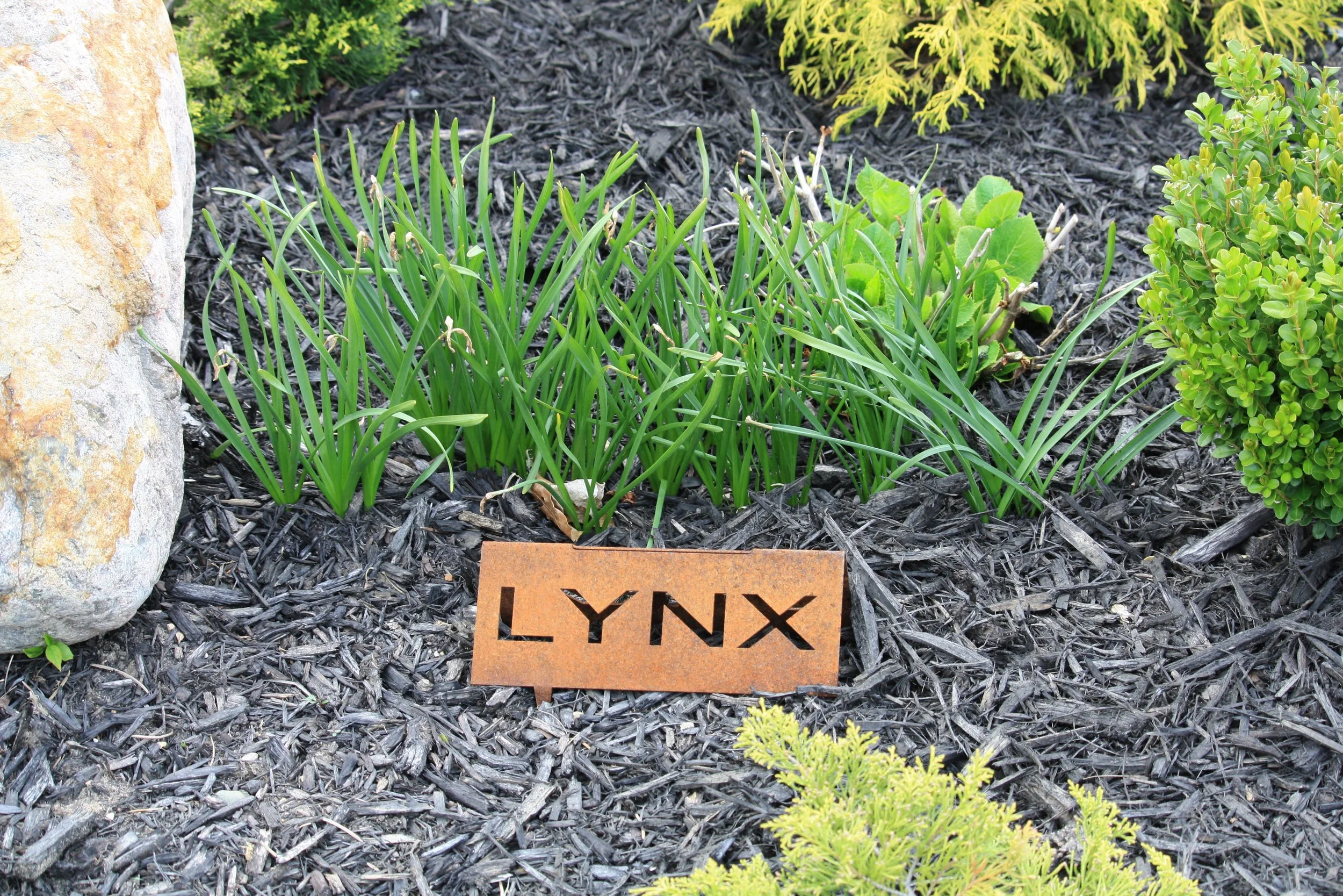 Club Championship - Qualifying