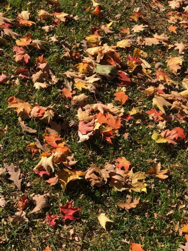 Fall Color Tour 2023