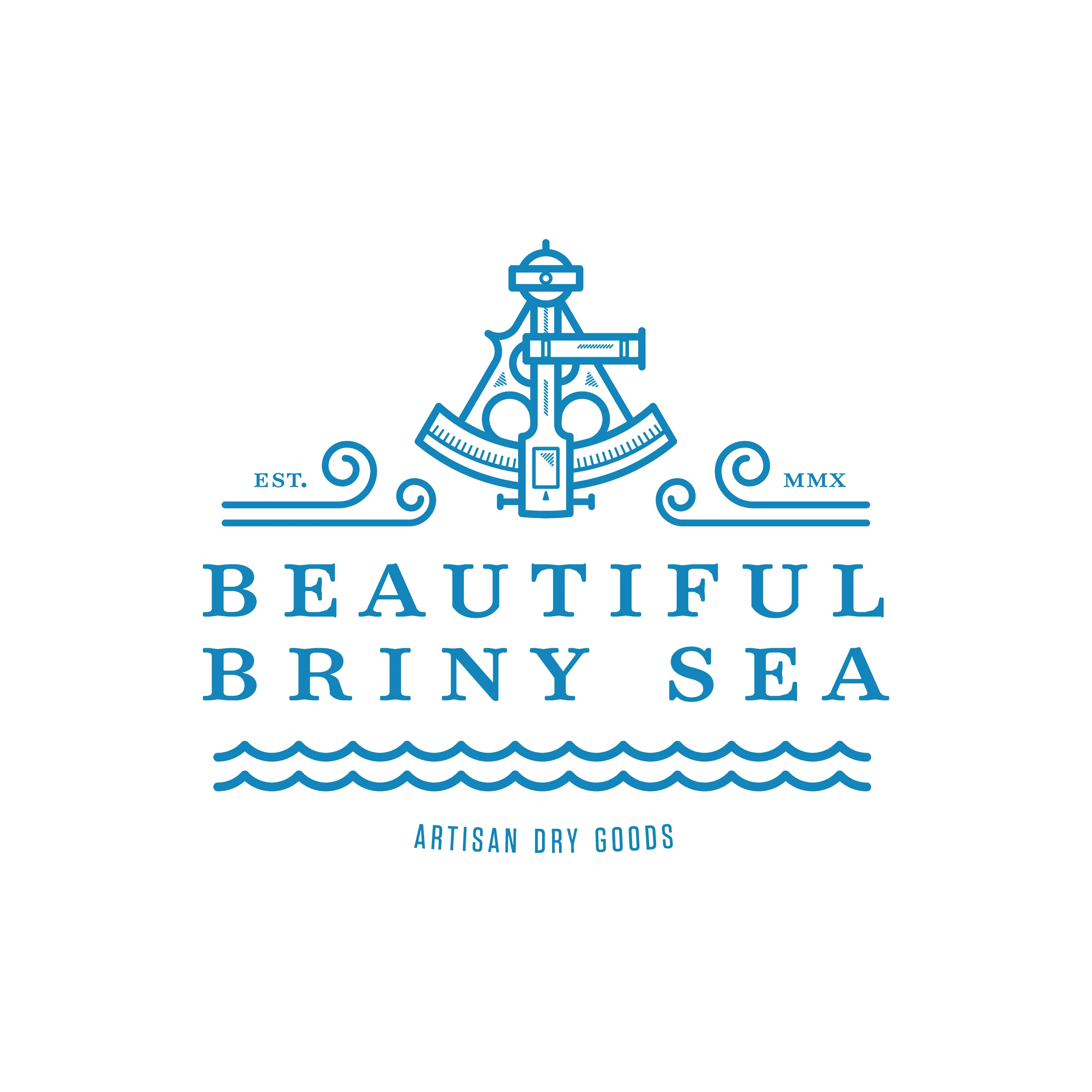 BBS Logo Blue inverted.jpg
