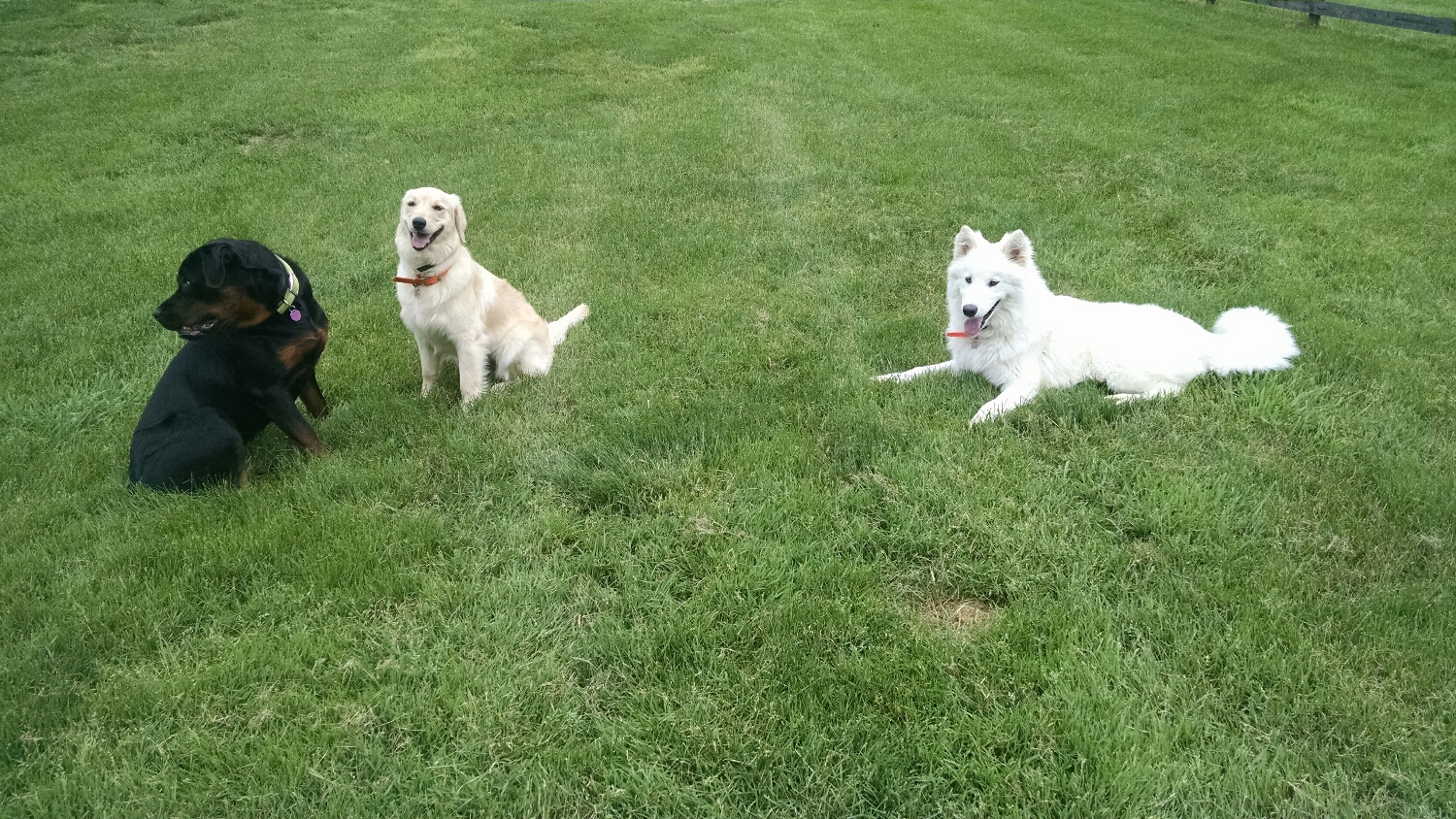 Start the day with a little play time with friends
