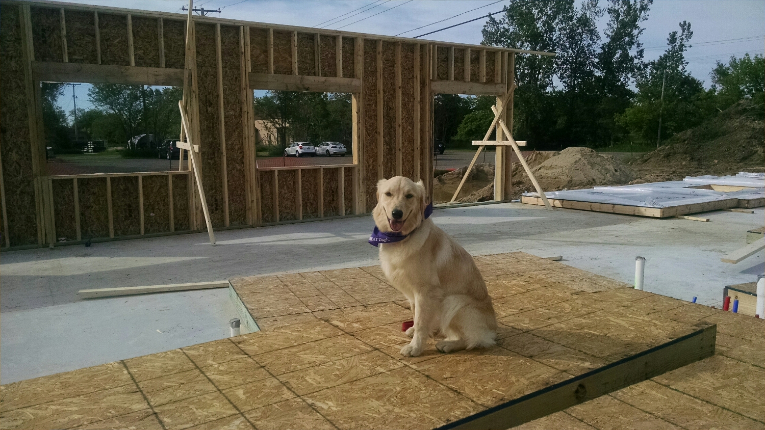 Checking on Canine Academy's new construction