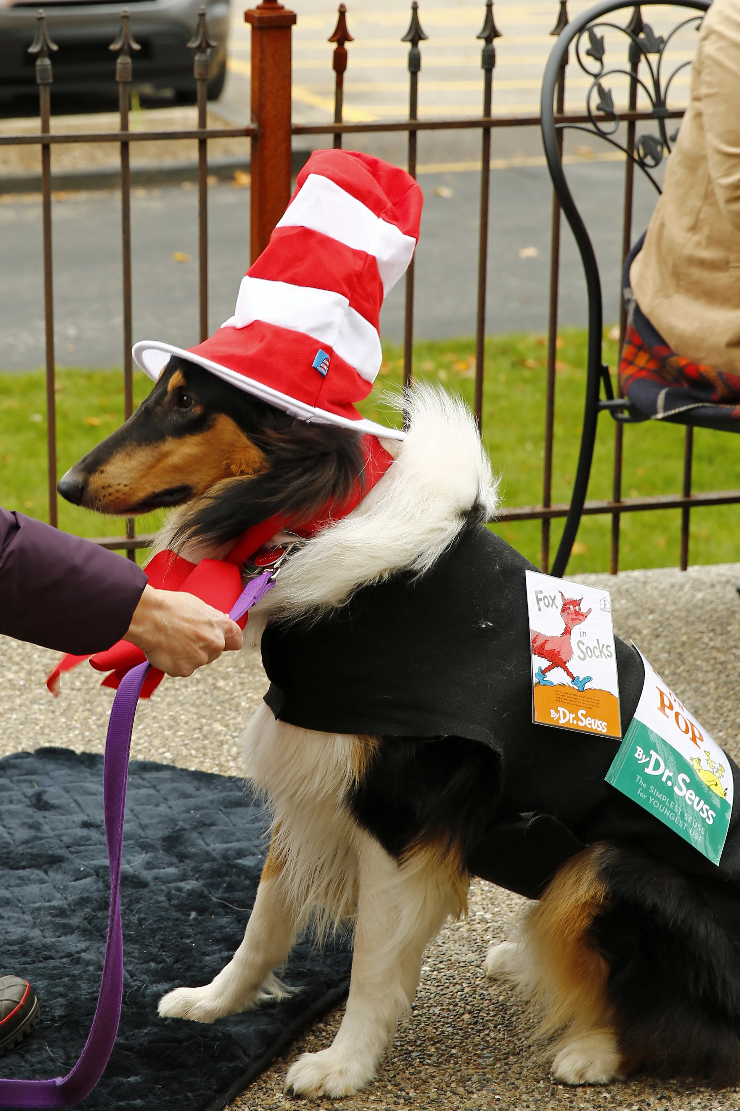 Image 1526.jpg