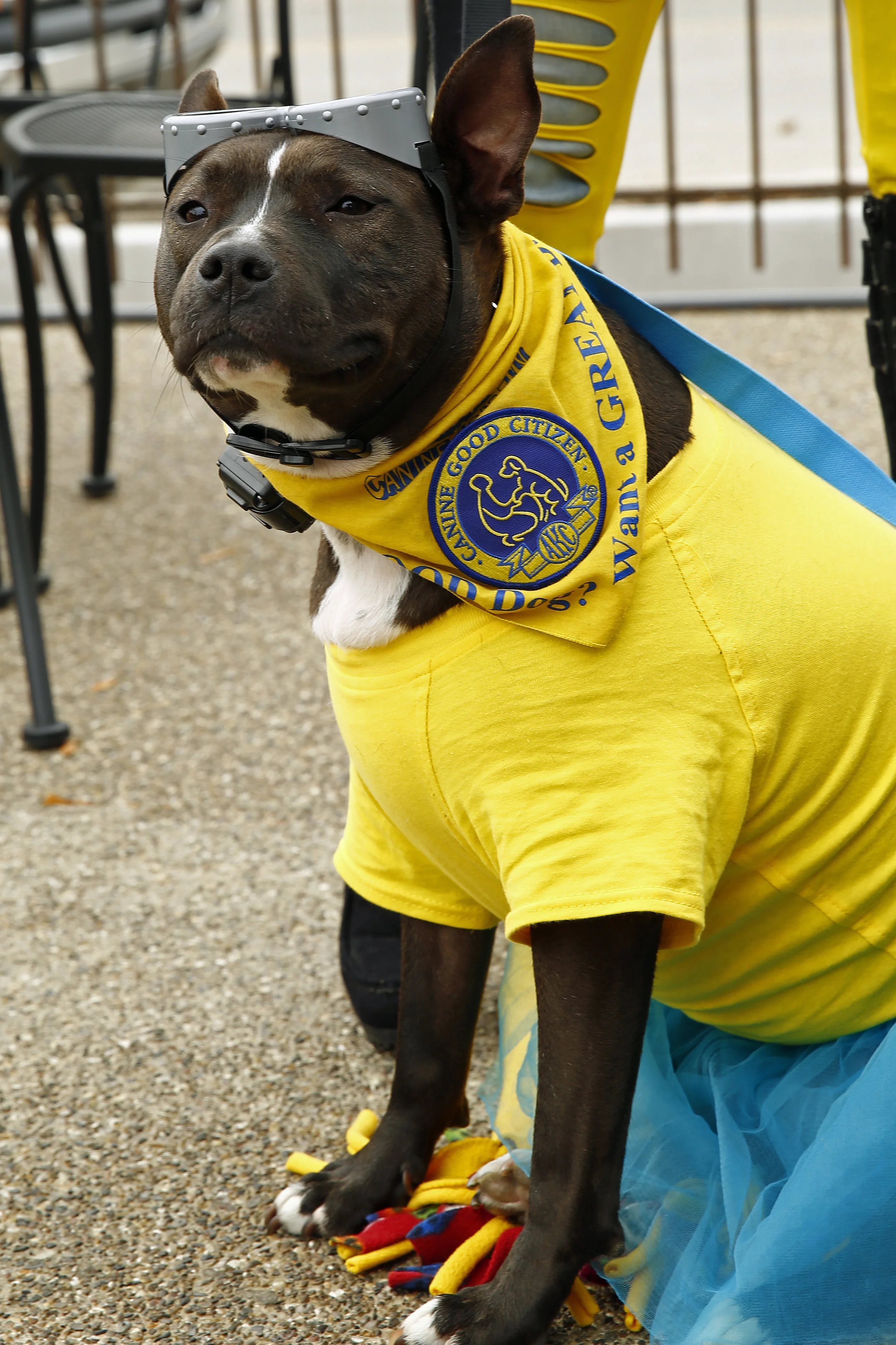 Image 1401.jpg