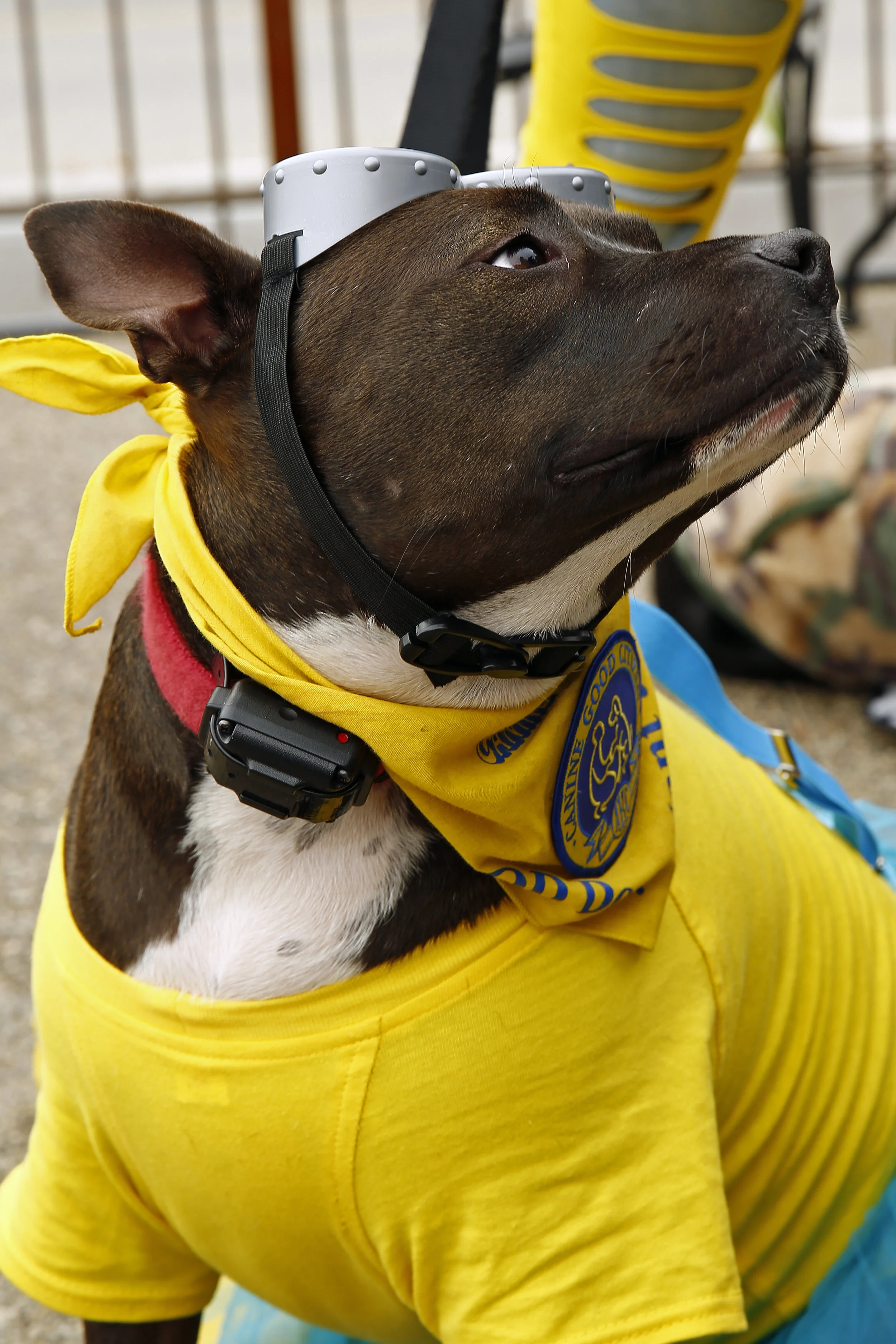 Image 1408.jpg