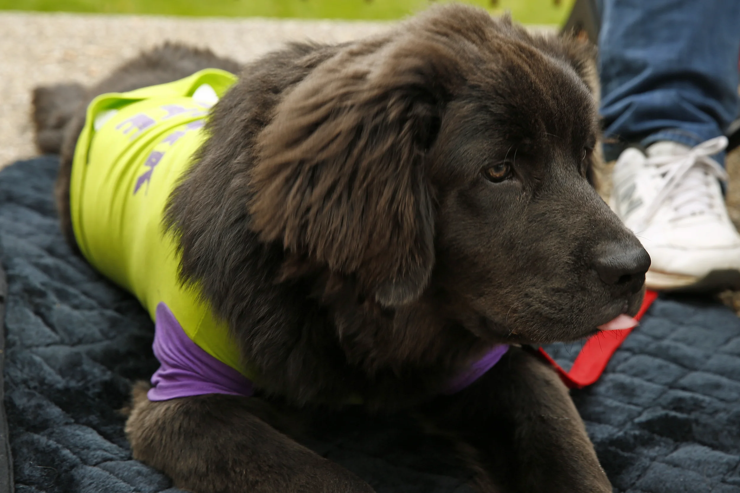 Image 1410.jpg